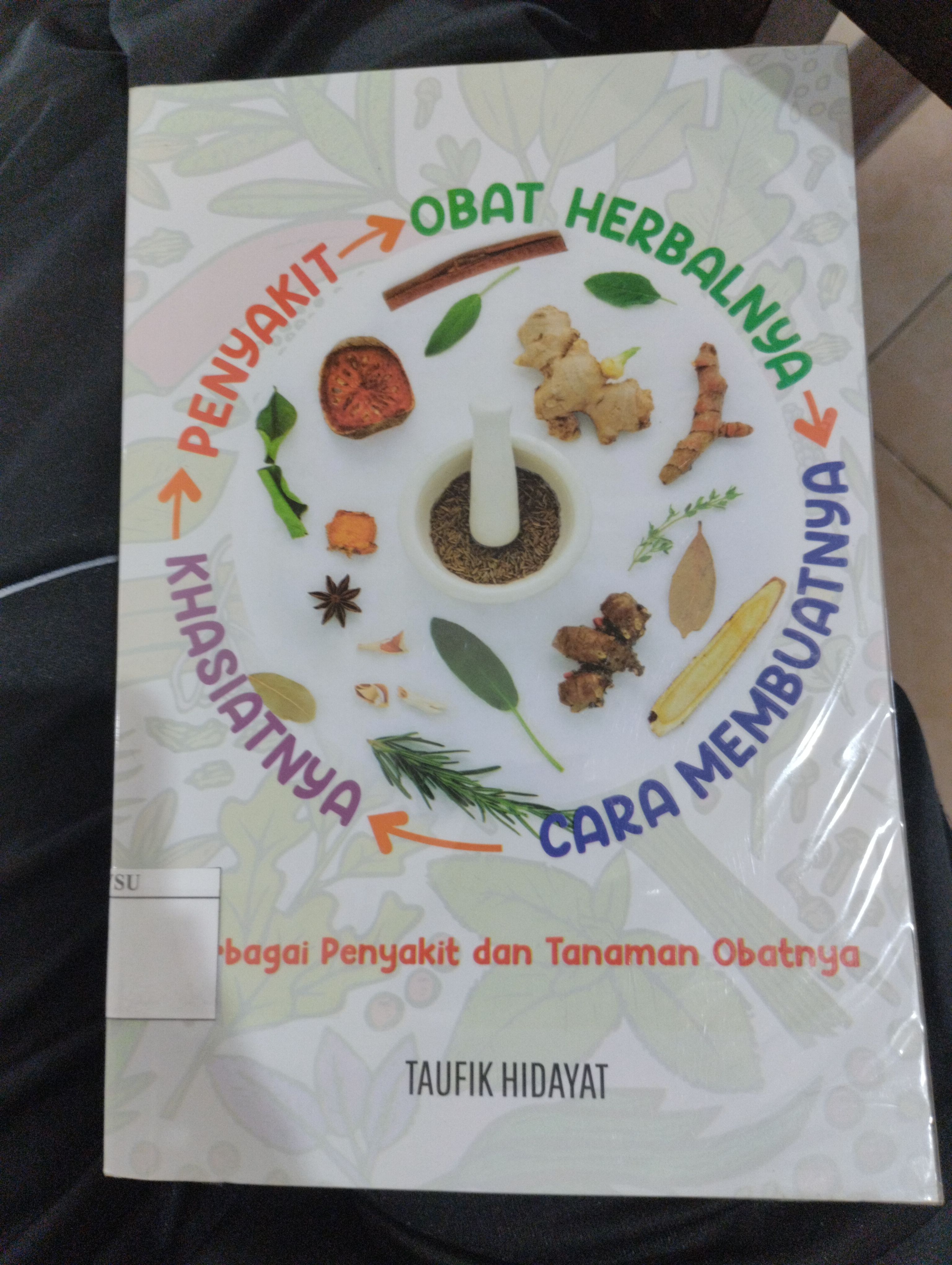 Berbagai Penyakit dan Tanaman Obatnya 