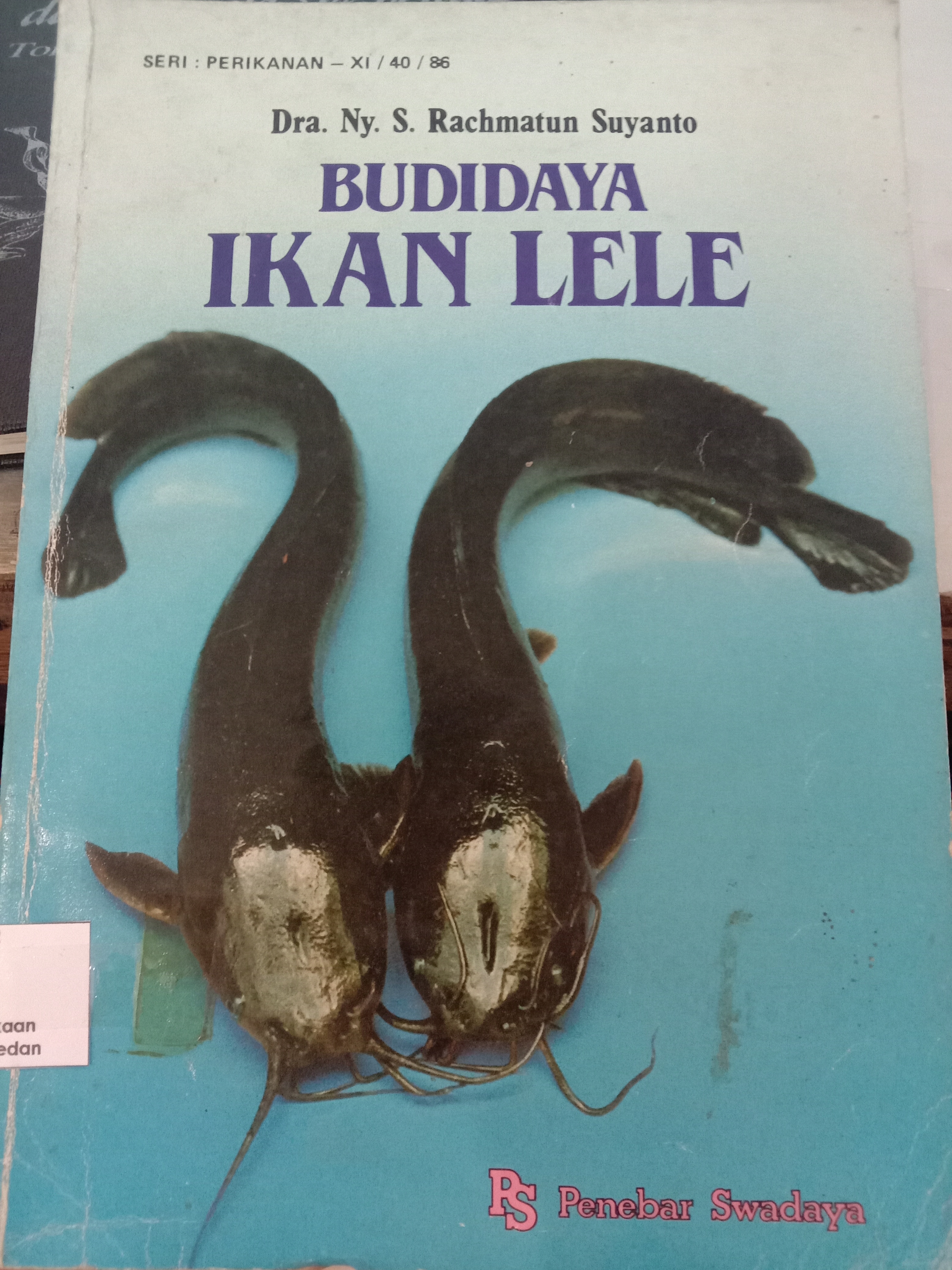 Budidaya ikan lele