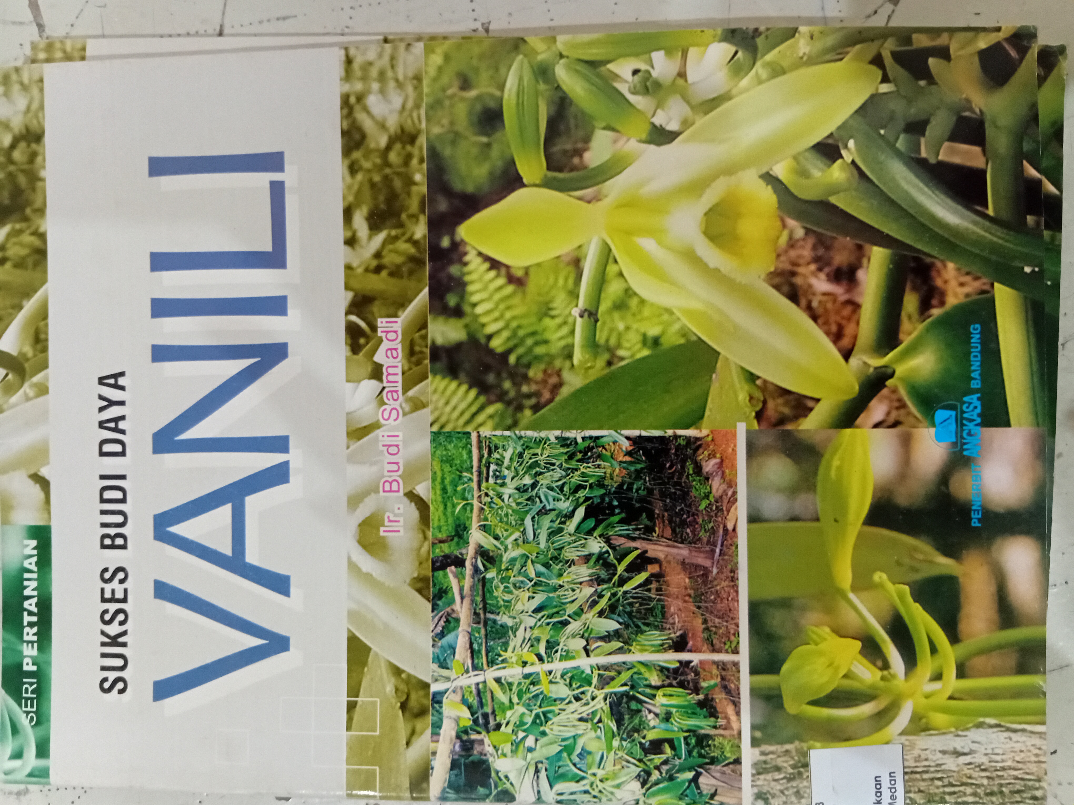 SUKSES BUDI DAYA VANILI