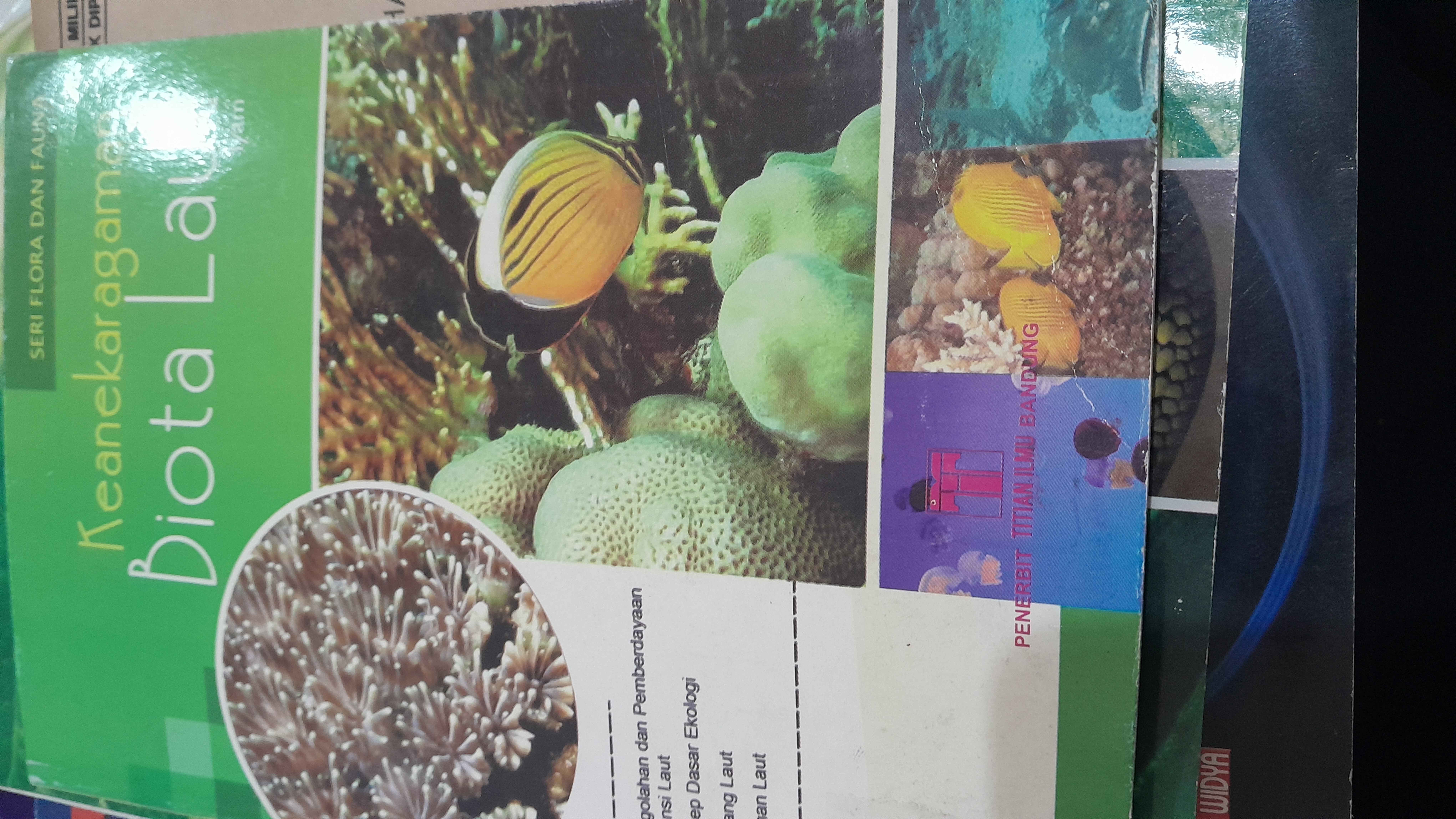 Keanekaragaman Biota Laut