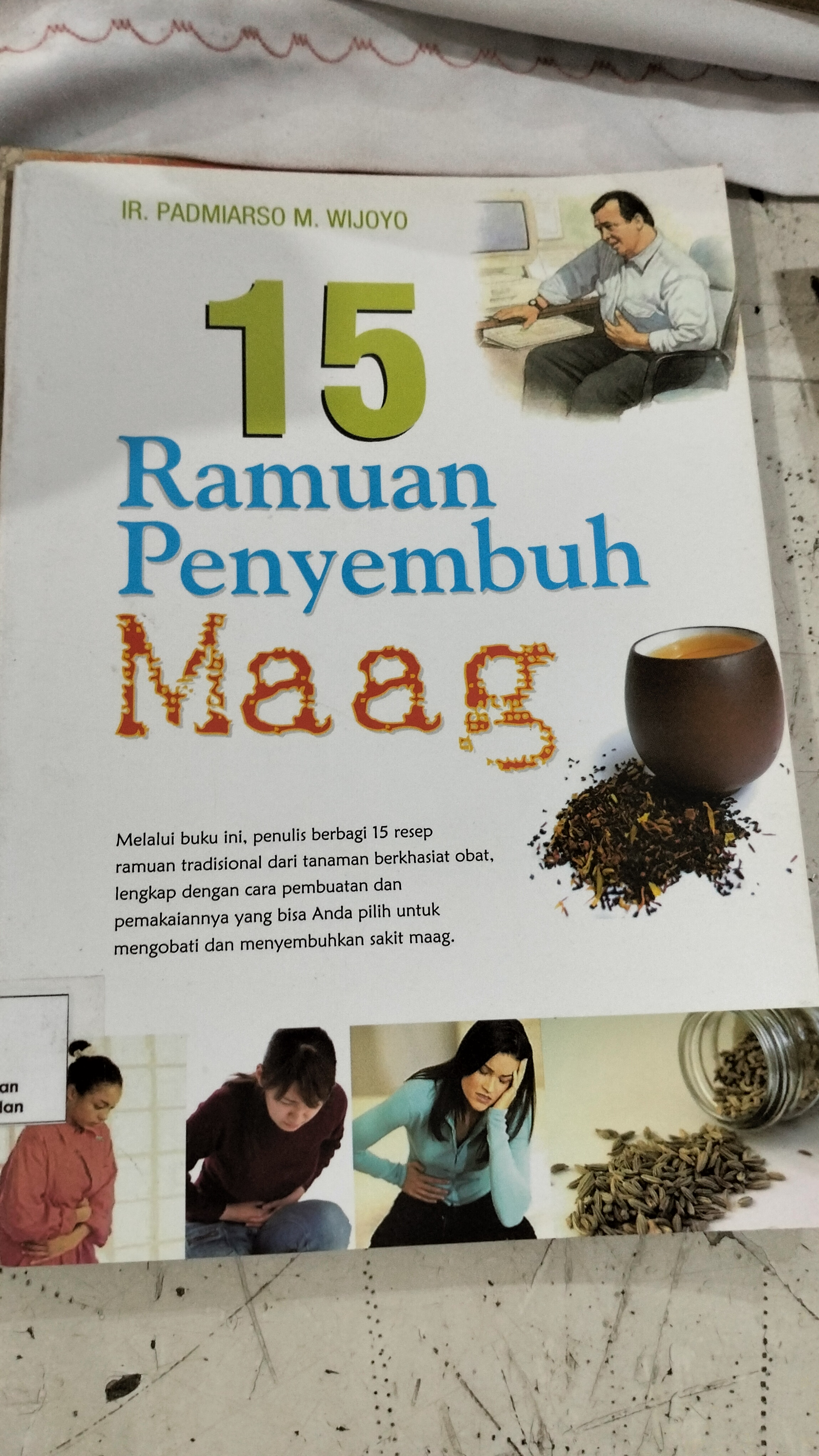 15 Ramuan Penyembuh Maag