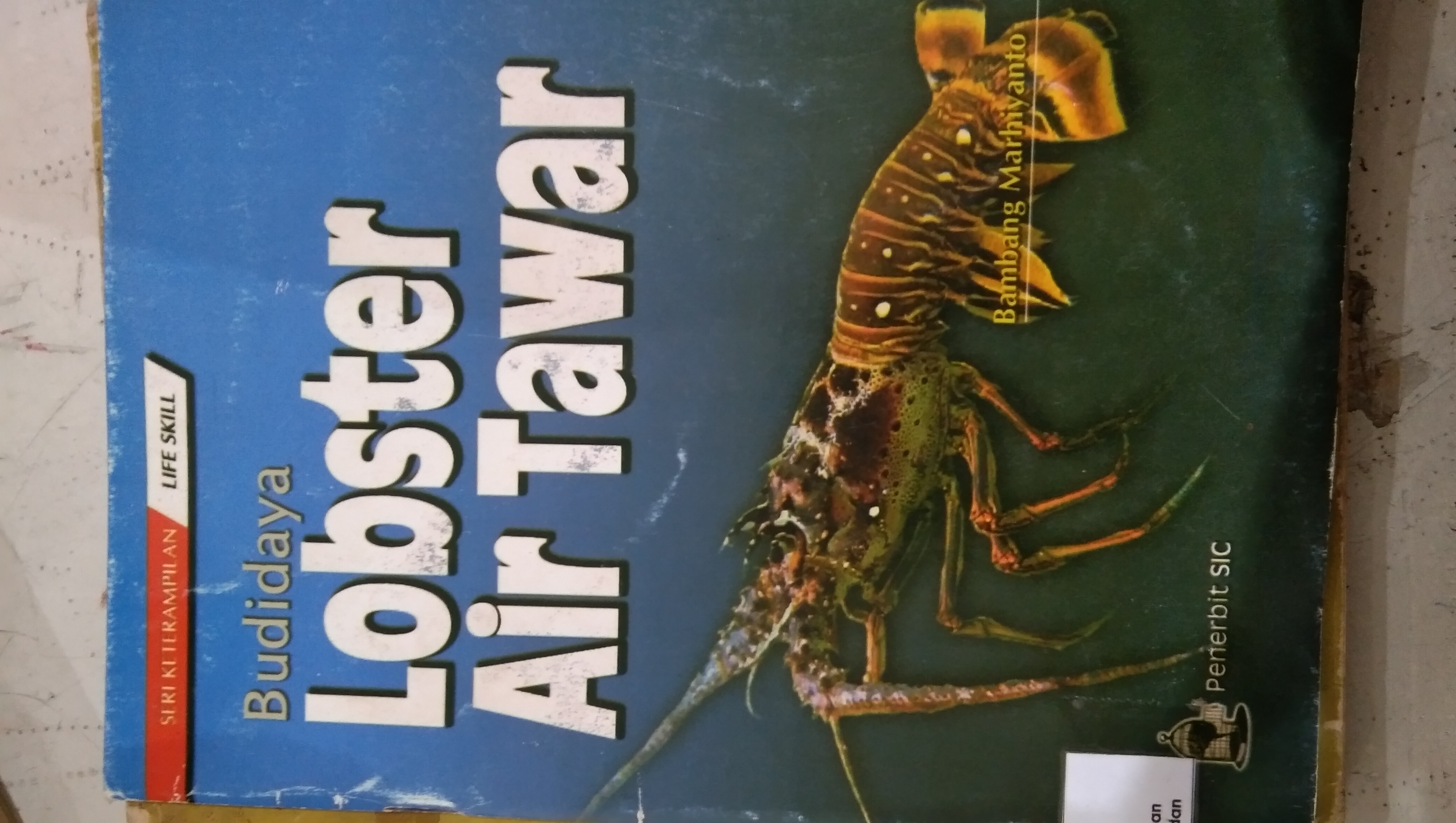 Budidaya Lobster Air Tawar