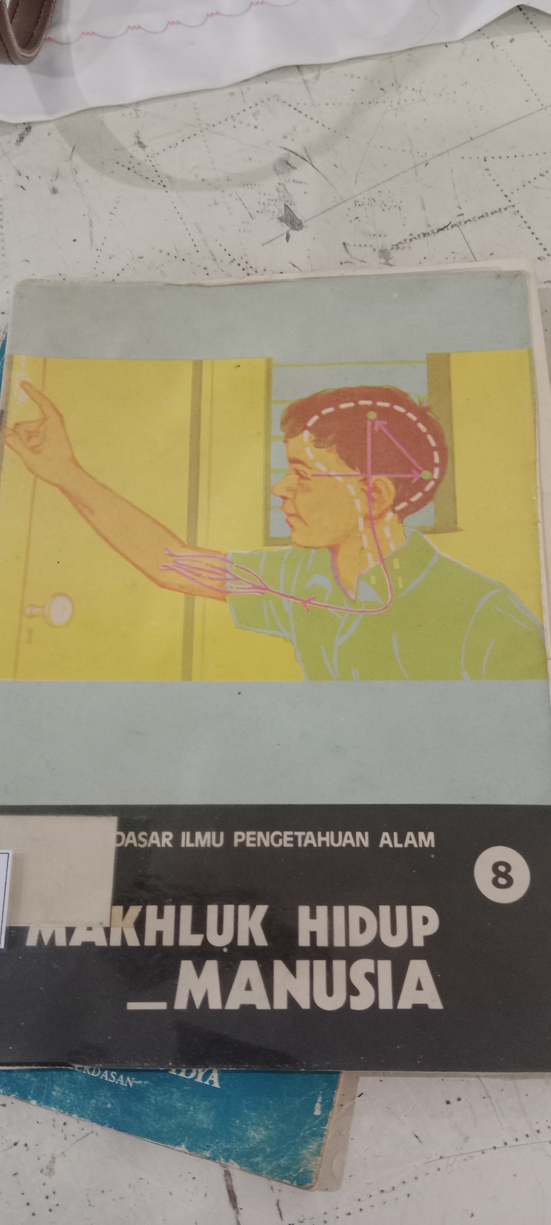 Mahluk hidup manusia