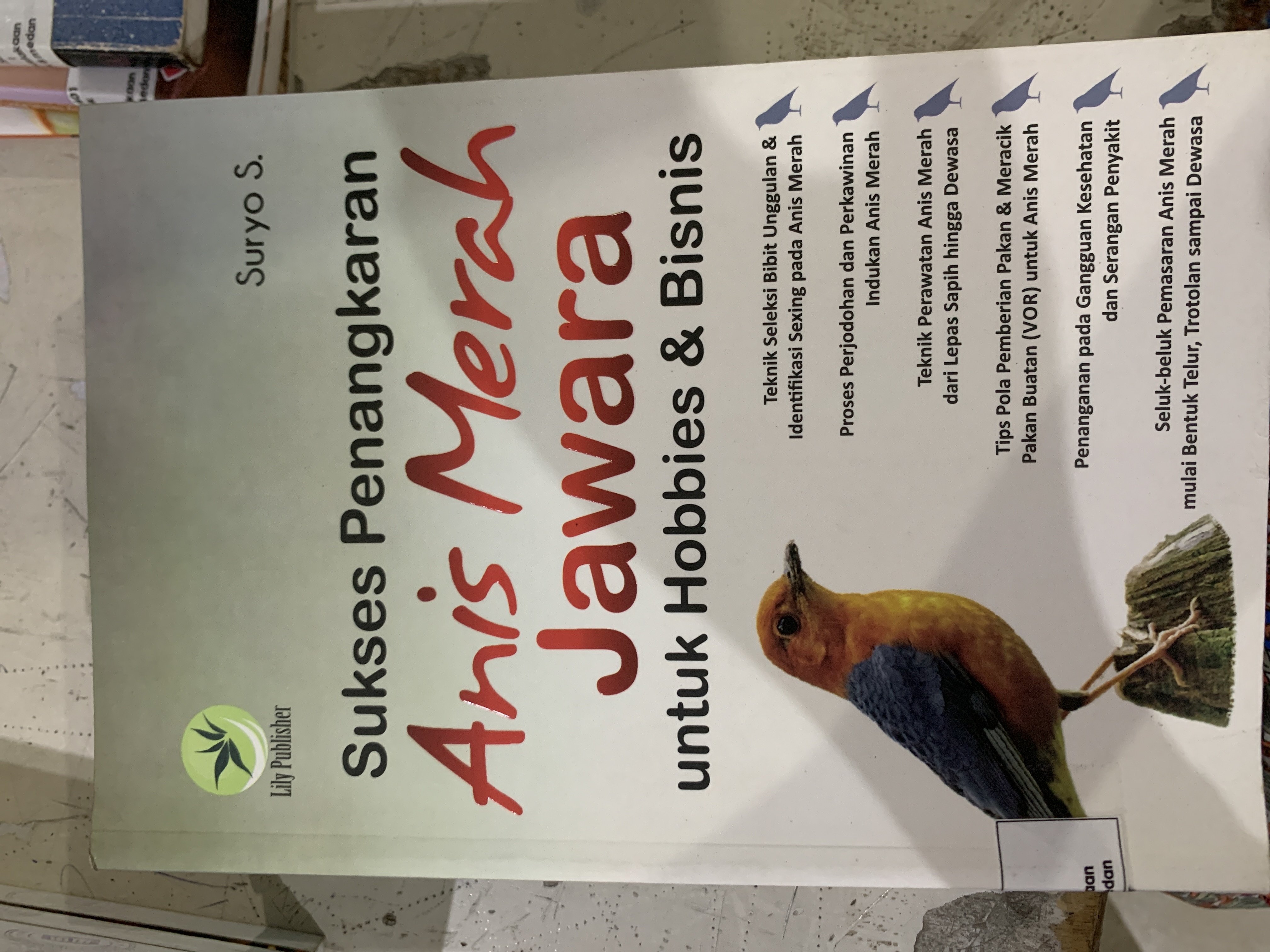 Sukses Penangakaran Anis Merah Jawara untuk Hobbies &amp; Bisnis