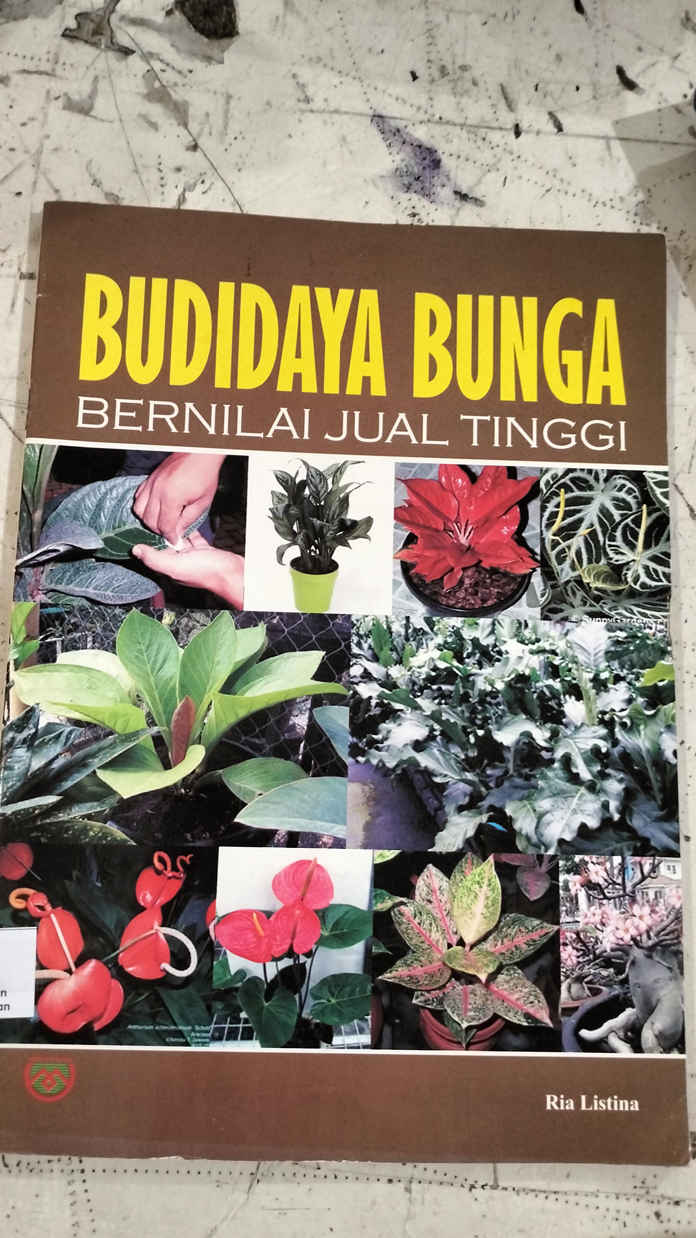 Budidaya Bunga Bernilai Jual Tinggi 