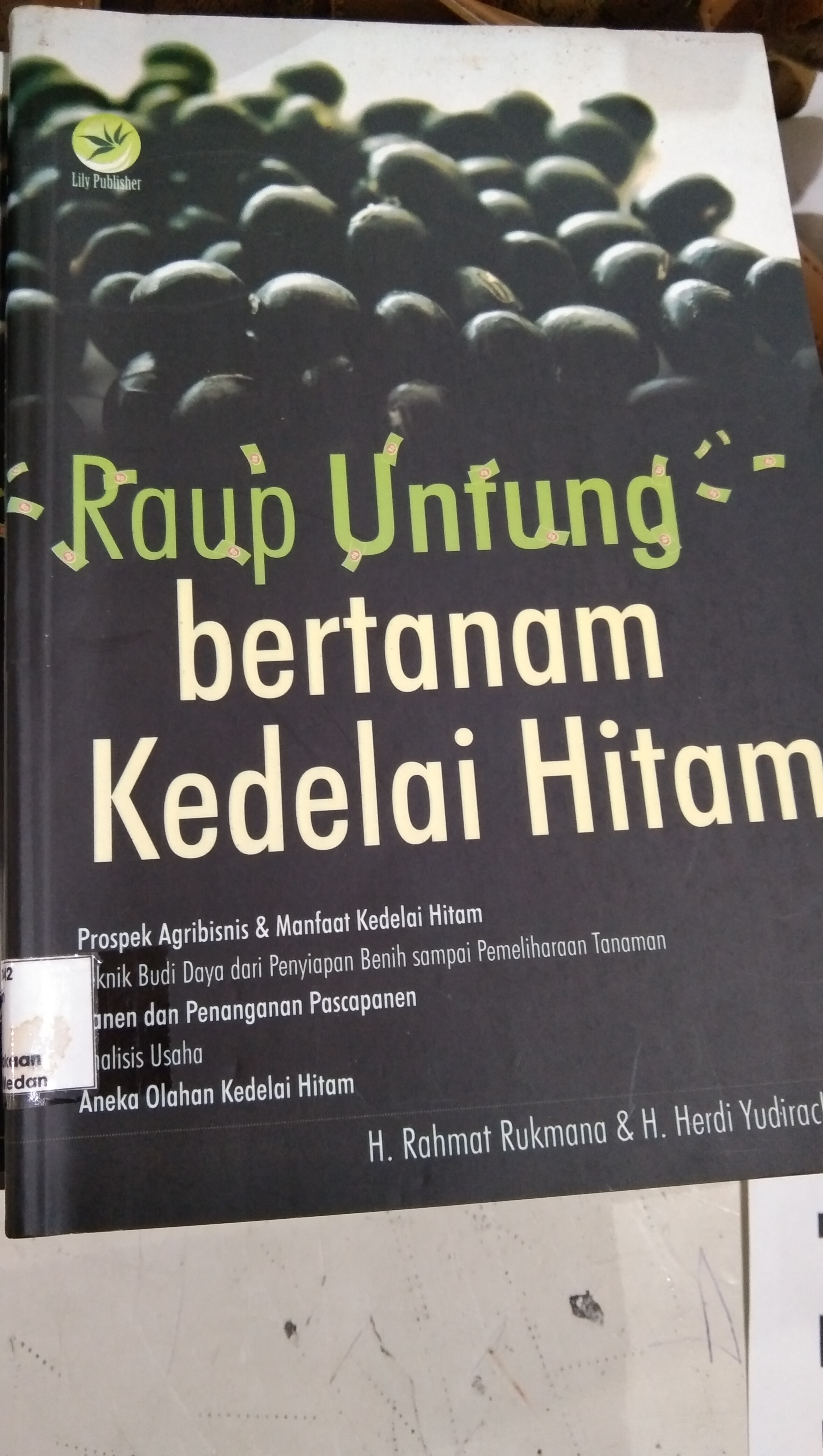 Raup untung bertanam Kedelai Hitam