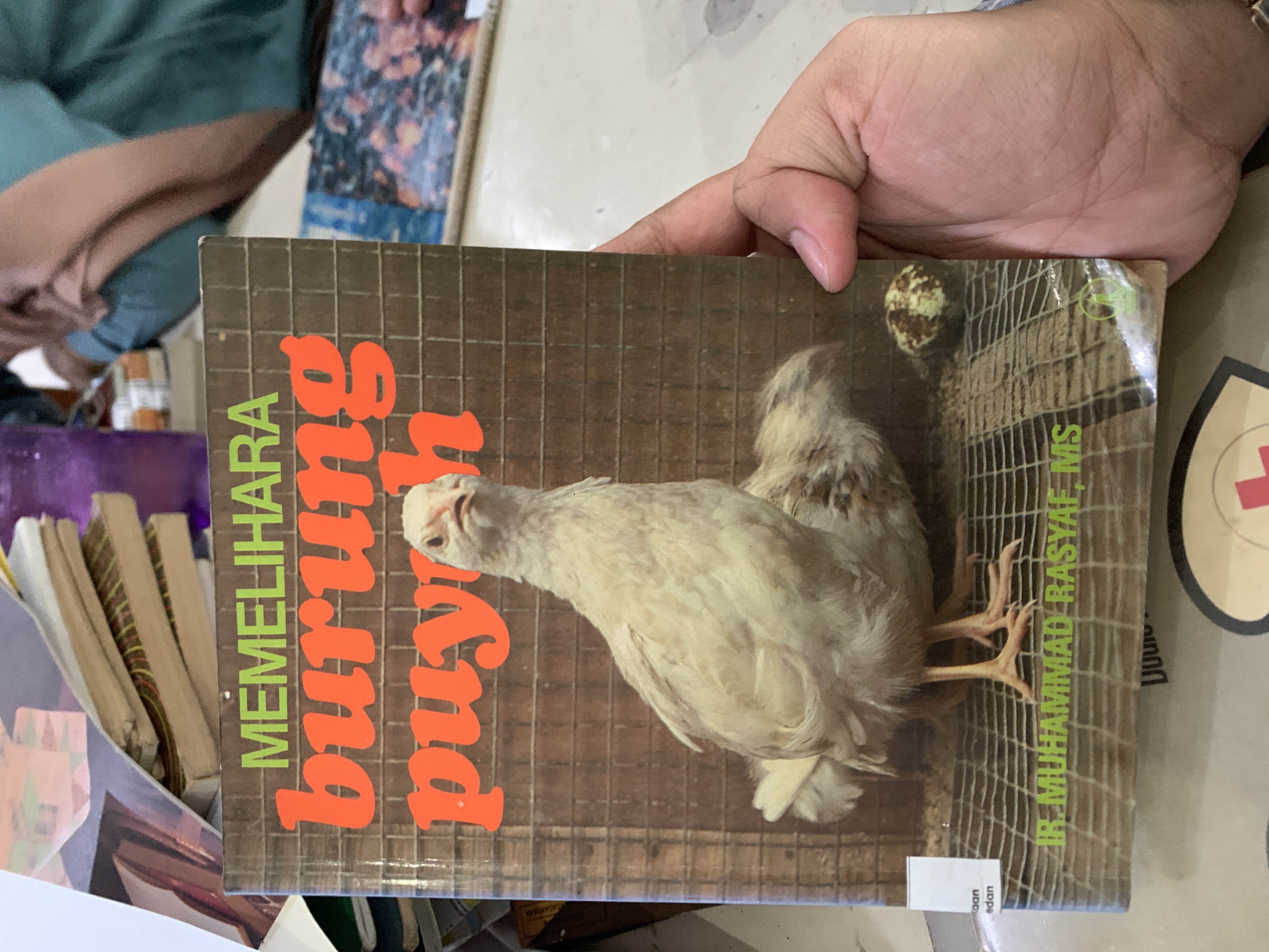 Memelihara burung puyuh