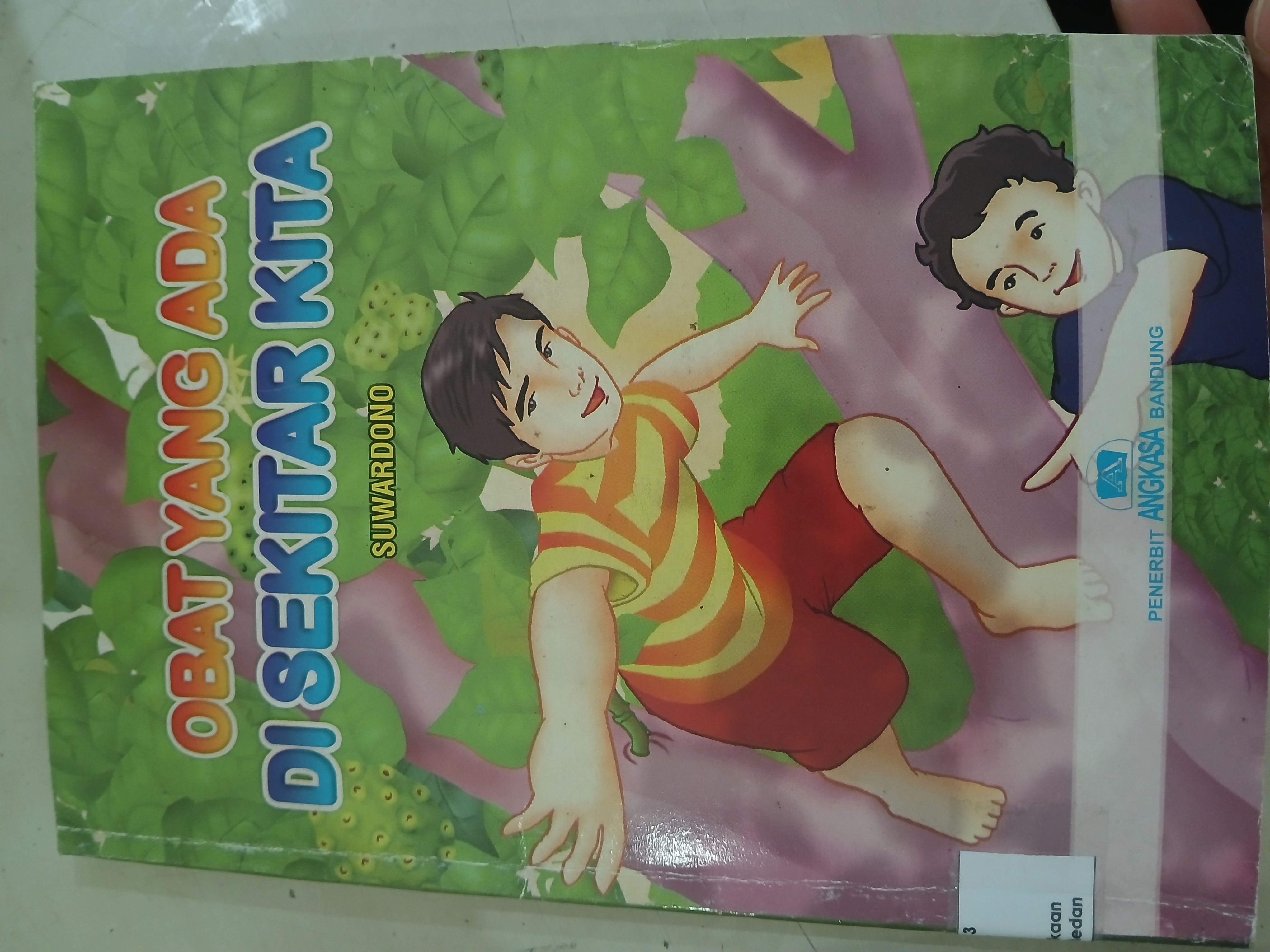 Obat Yang Ada Di Sekitar Kita