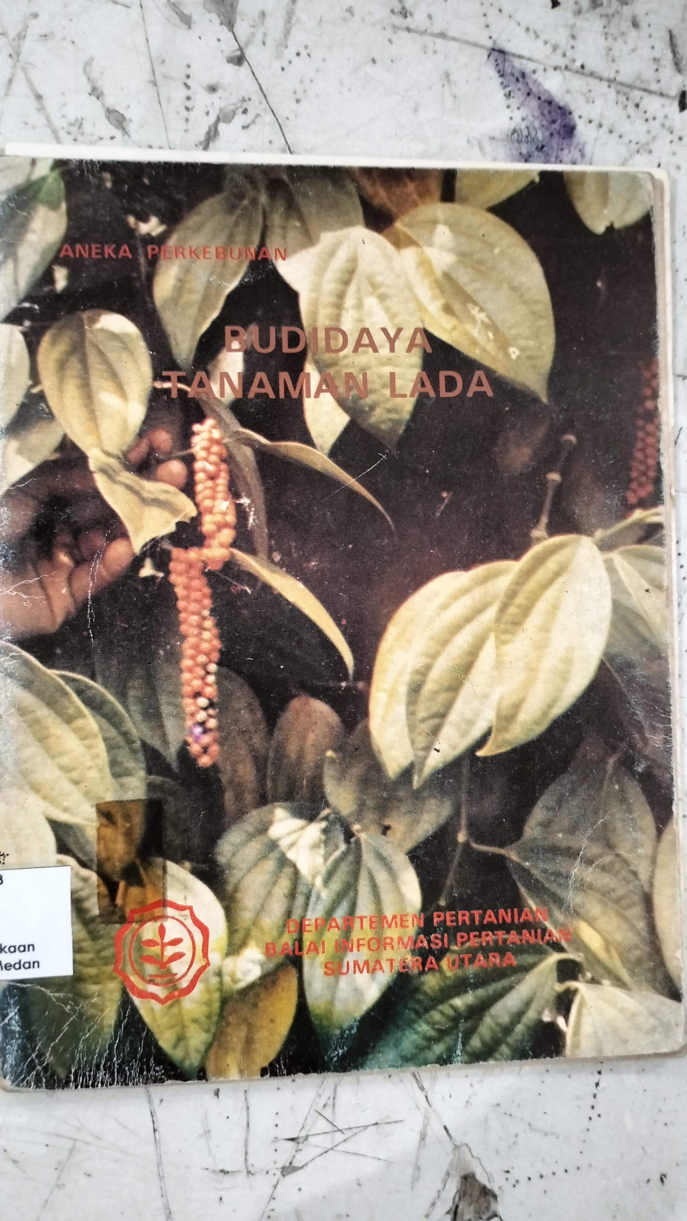 BUDIDAYA TANAMAN LADA