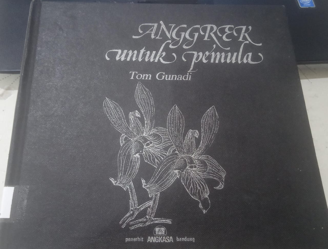 Anggrek Untuk Pemula