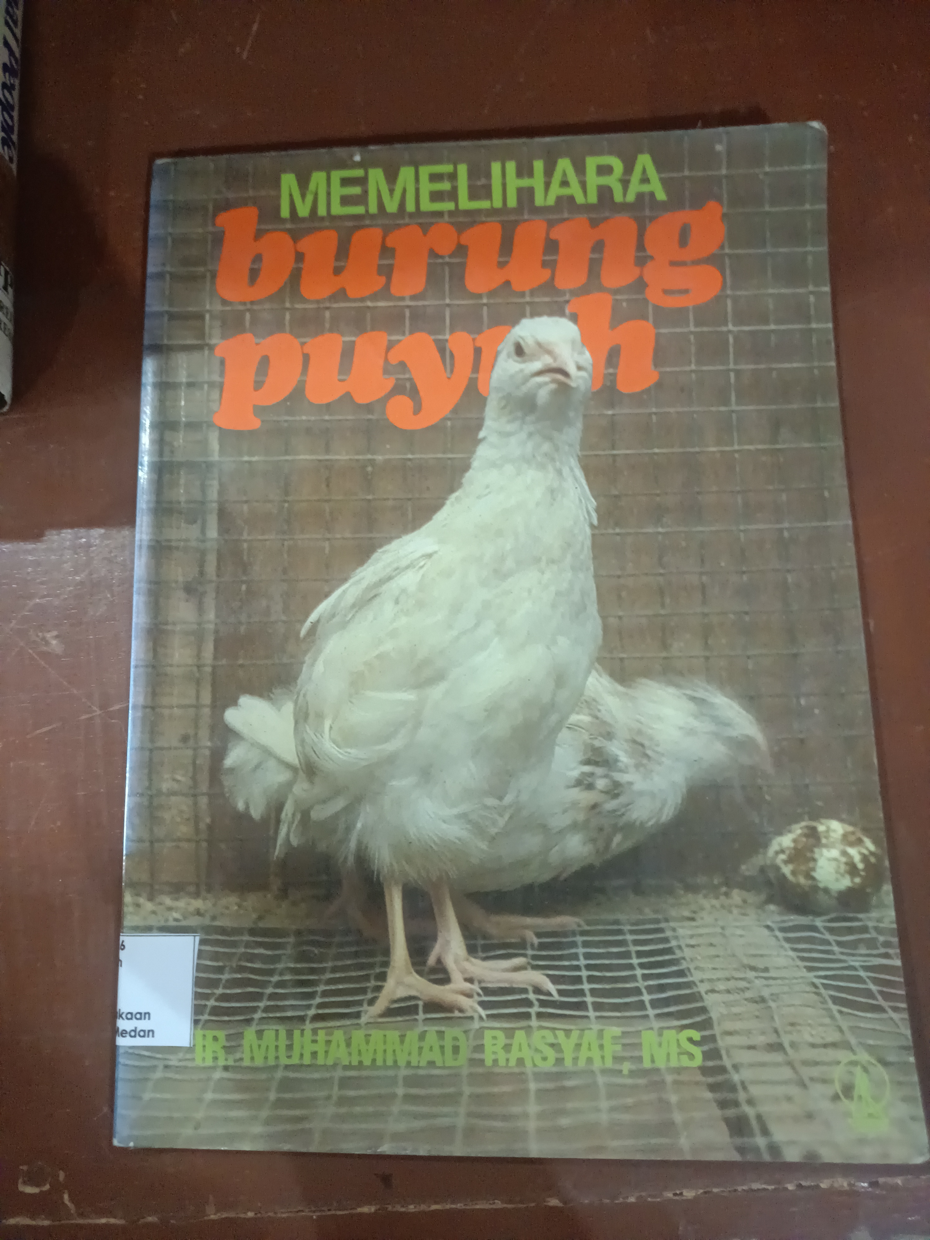 MEMELIHARA burung puyuh