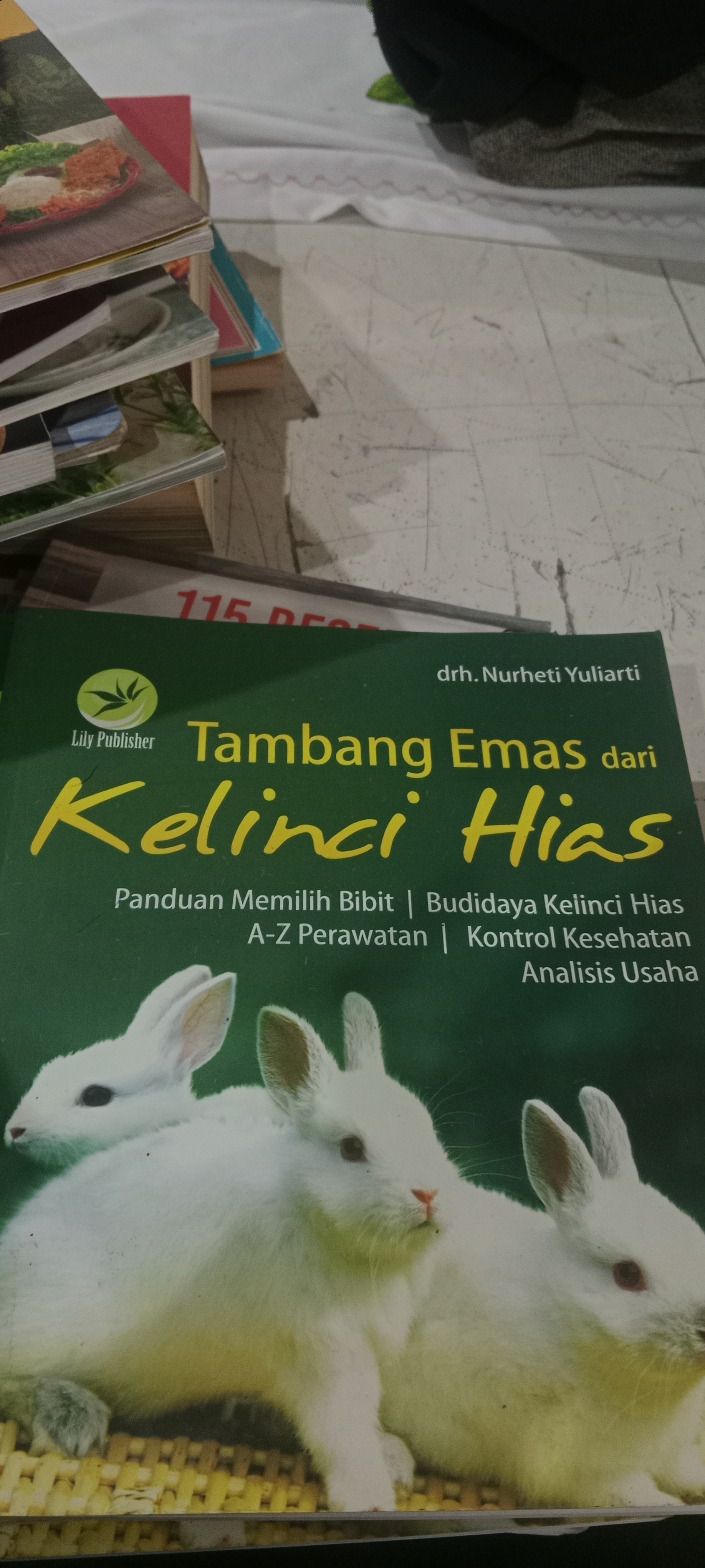 Tambang Emas dari kelinci hias 