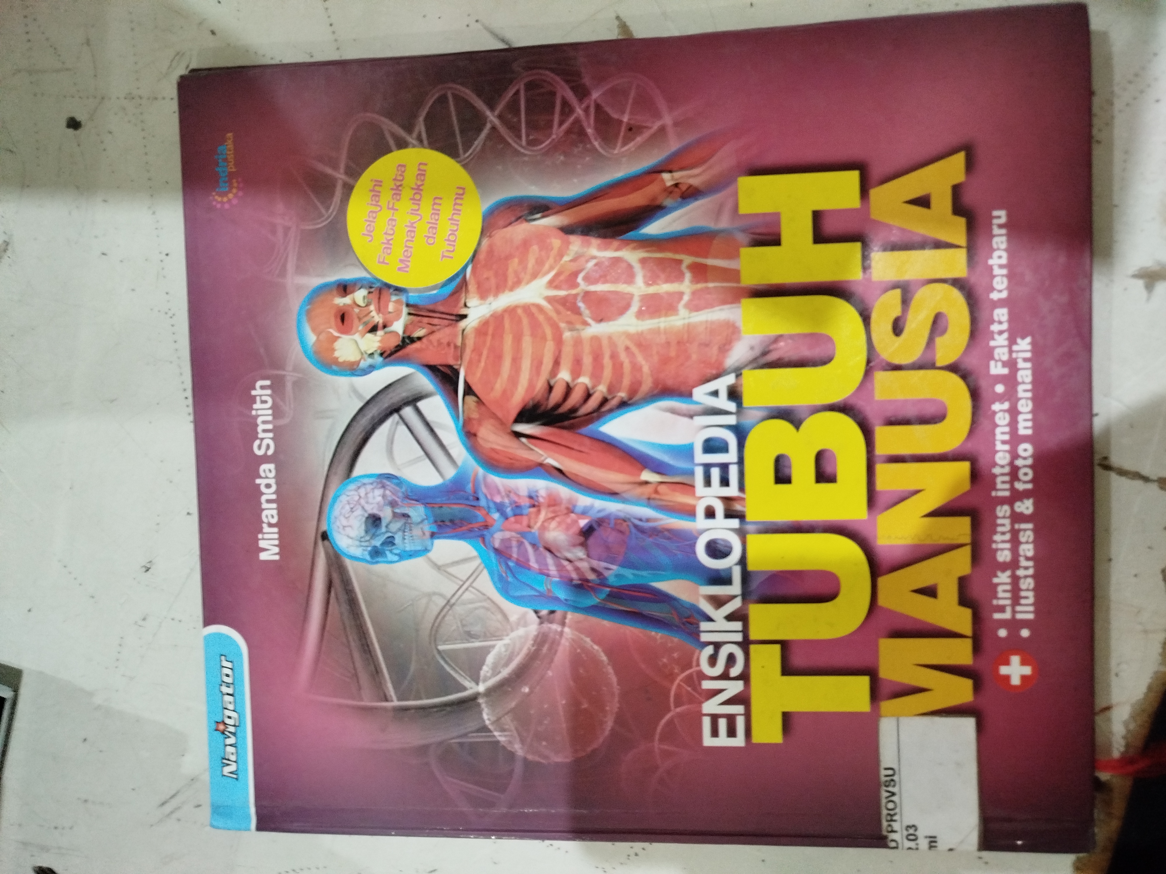 Ensiklopedia Tubuh Manusia