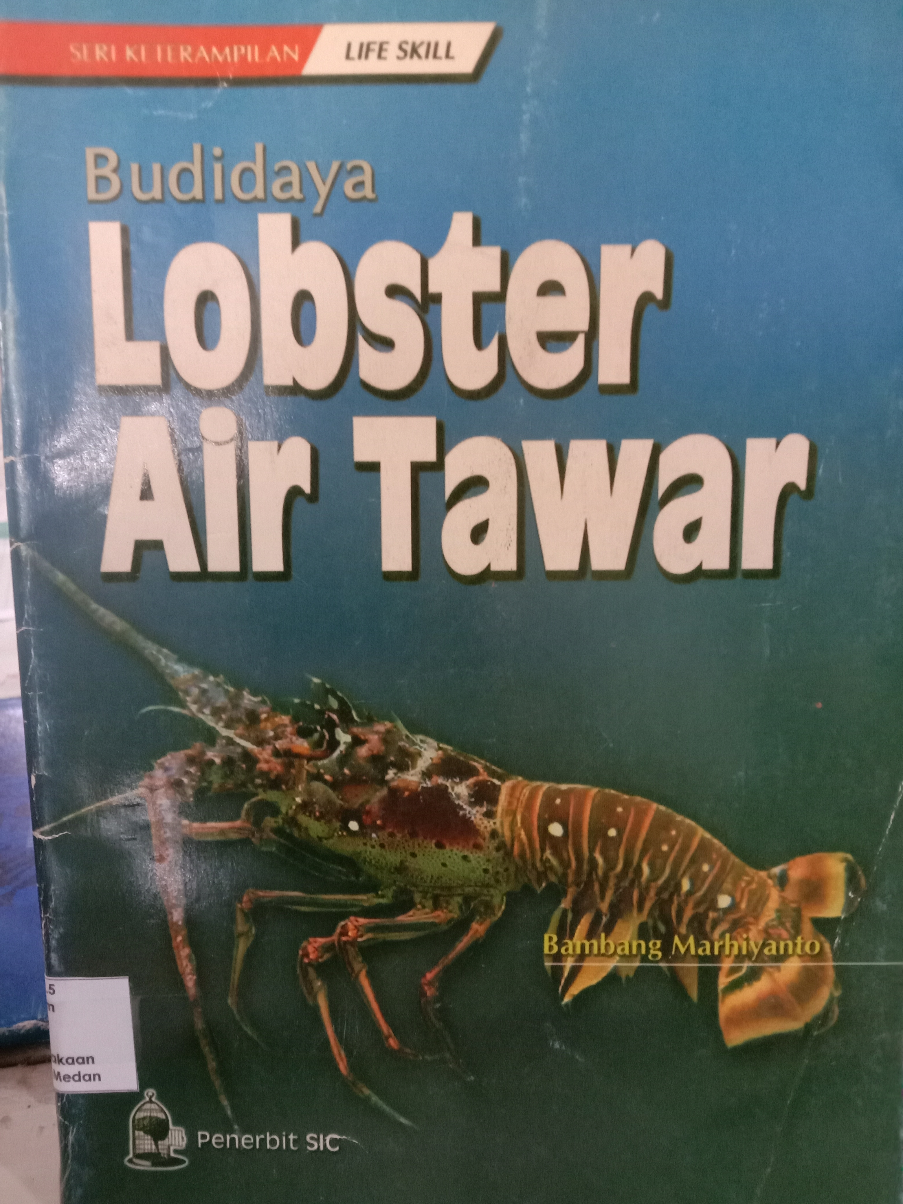 Budidaya lobster air tawar