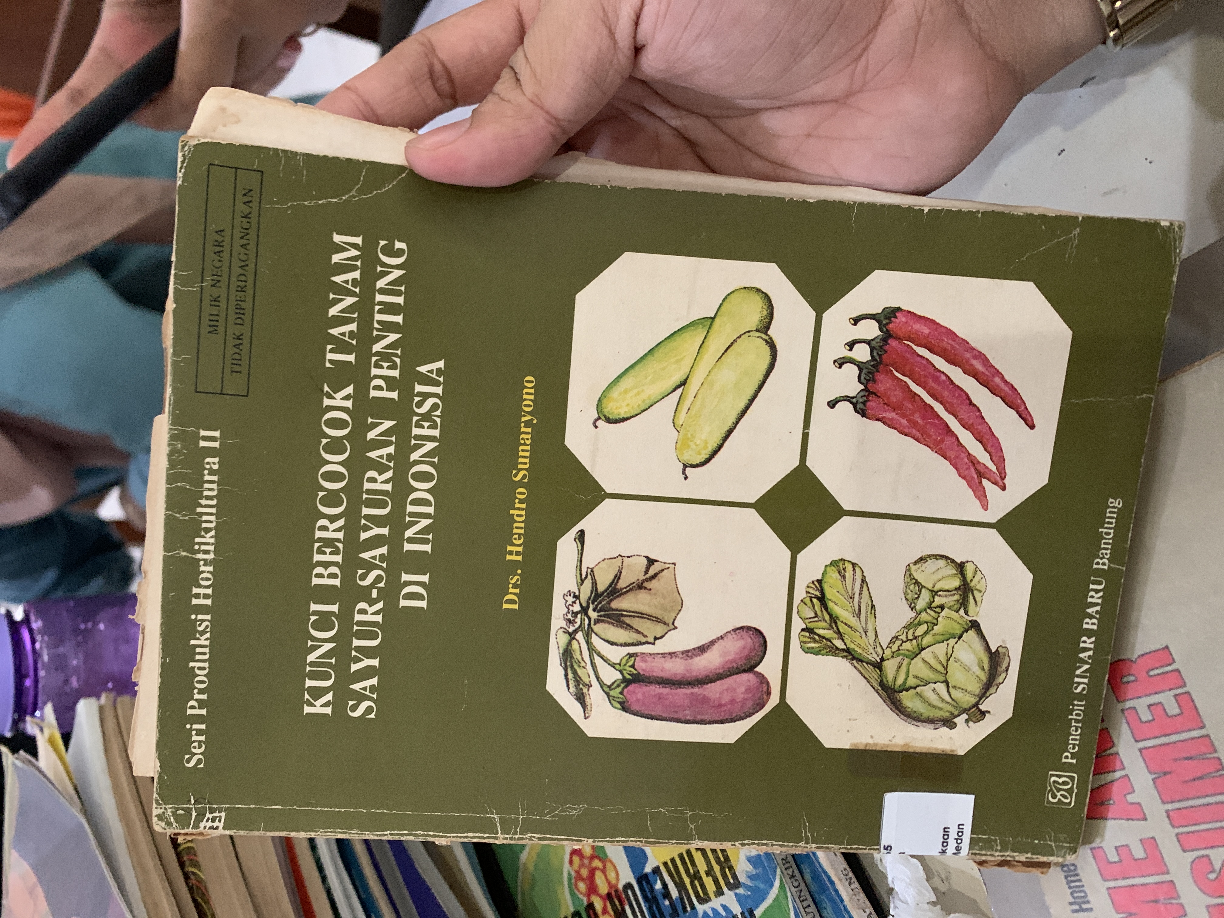 kunci bercocok tanam sayur sayuran penting di indonesia 