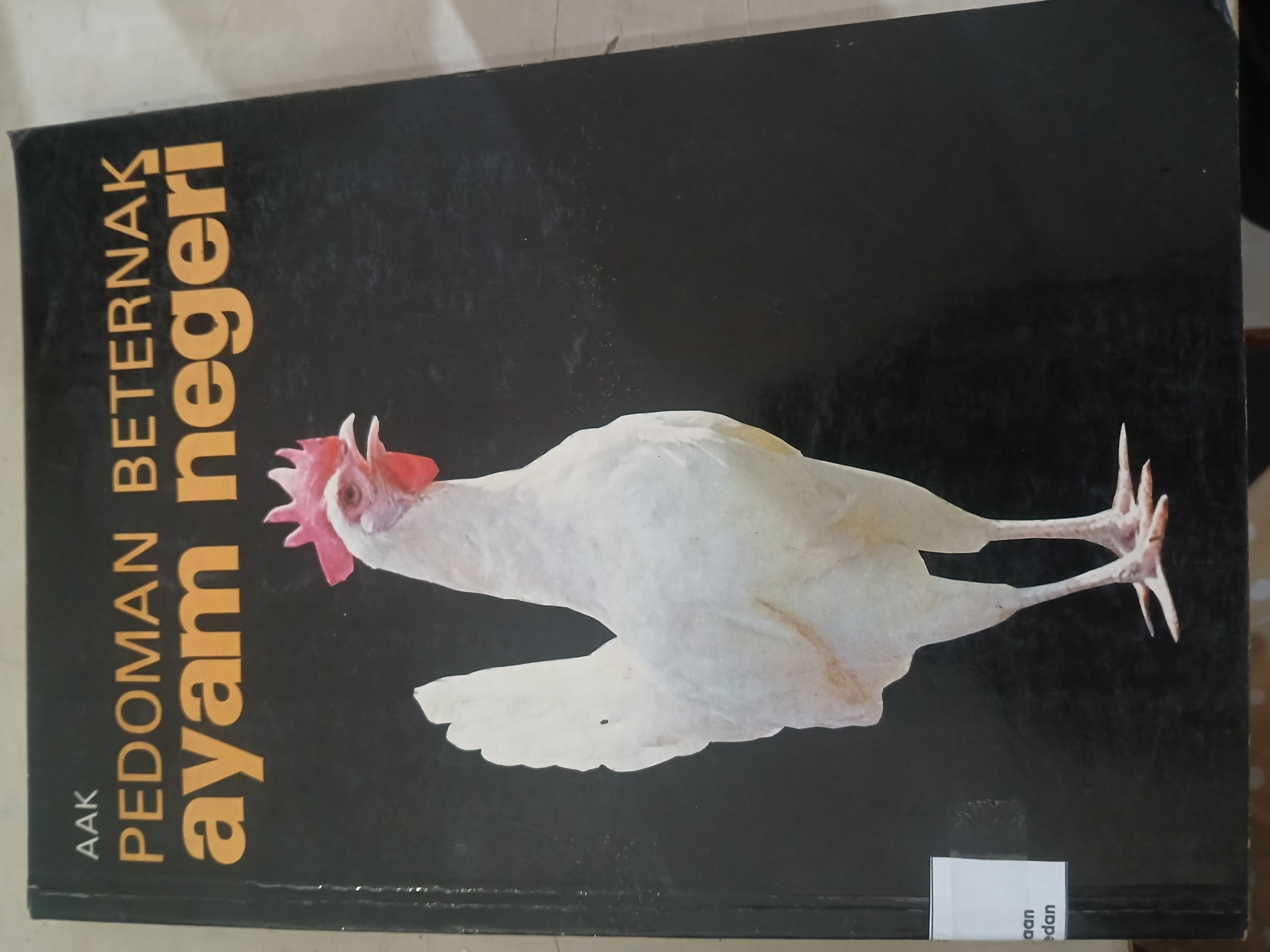 Pedoman Beternak Ayam Negeri