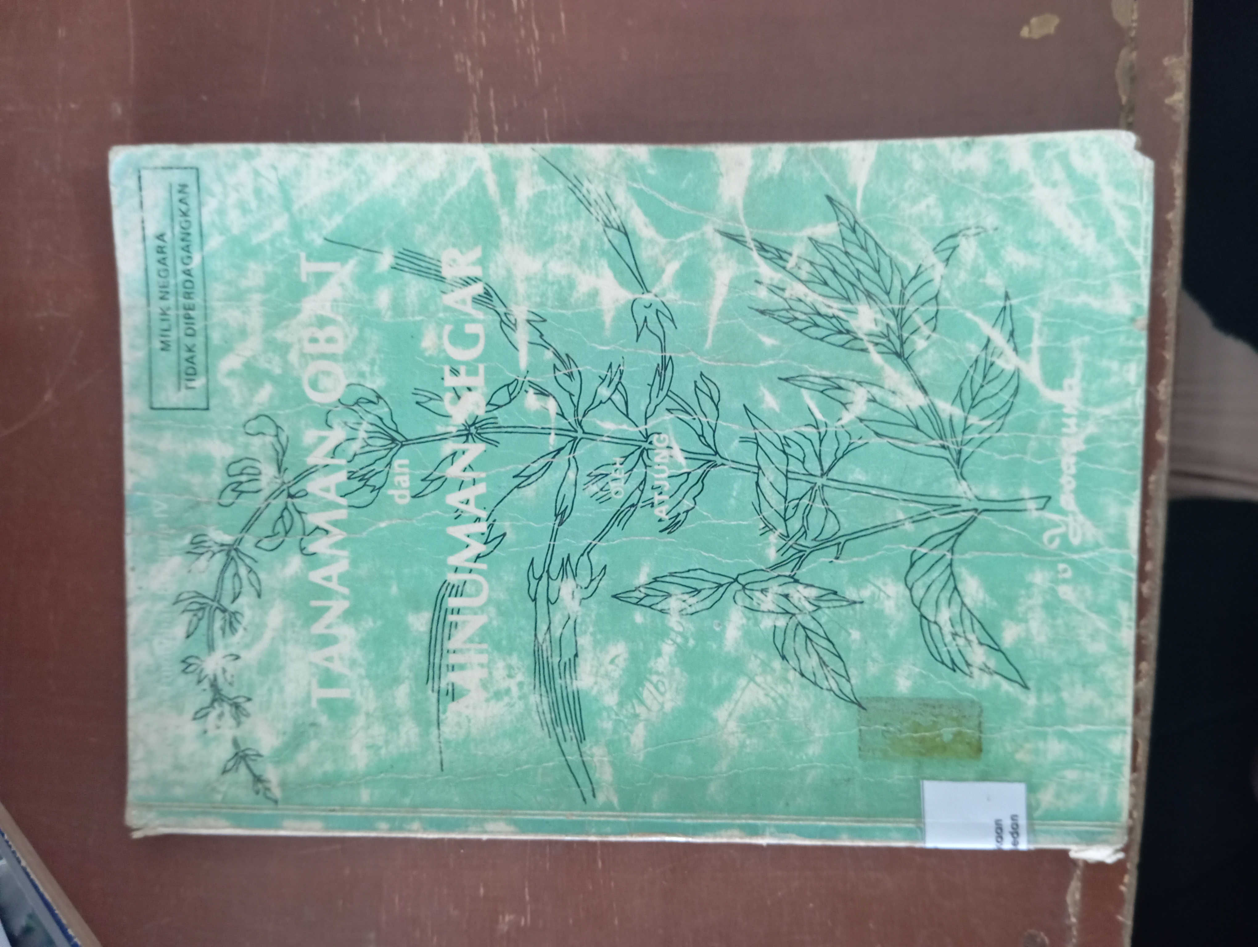 TANAMAN OBAT MINUMAN SEGAR 