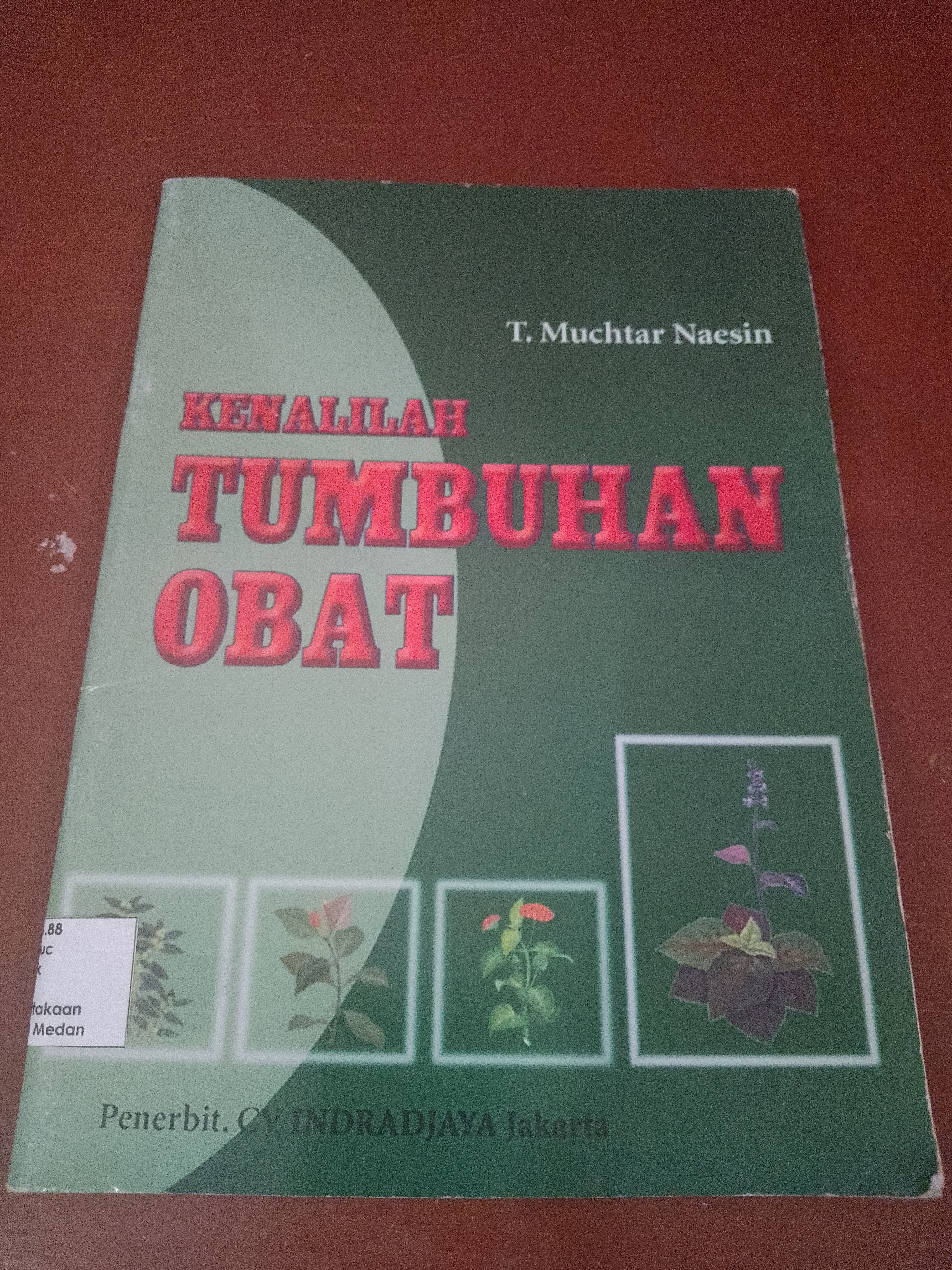 Kenalilah Tumbuhan Obat 