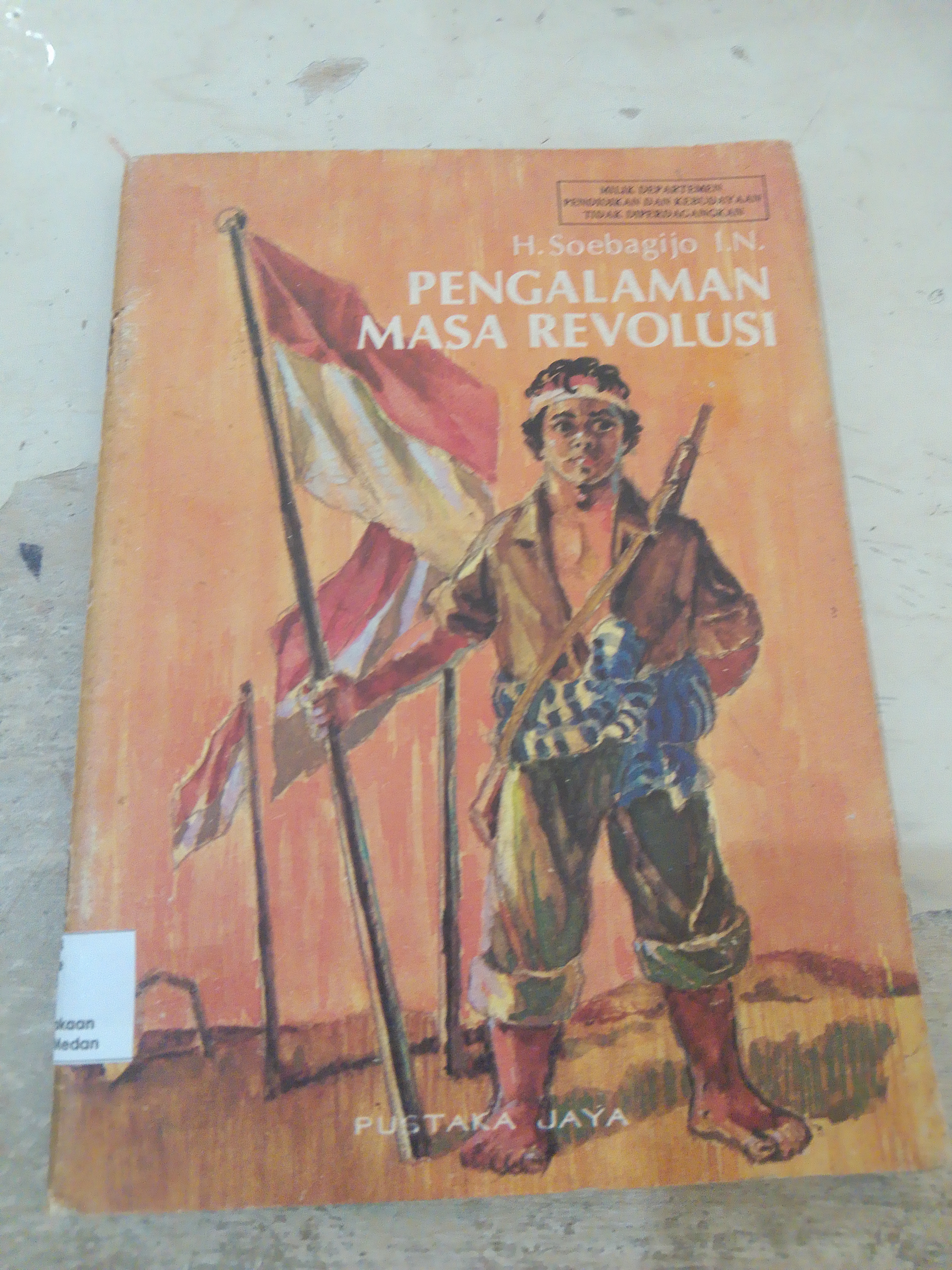 Pengalaman masa revolusi 