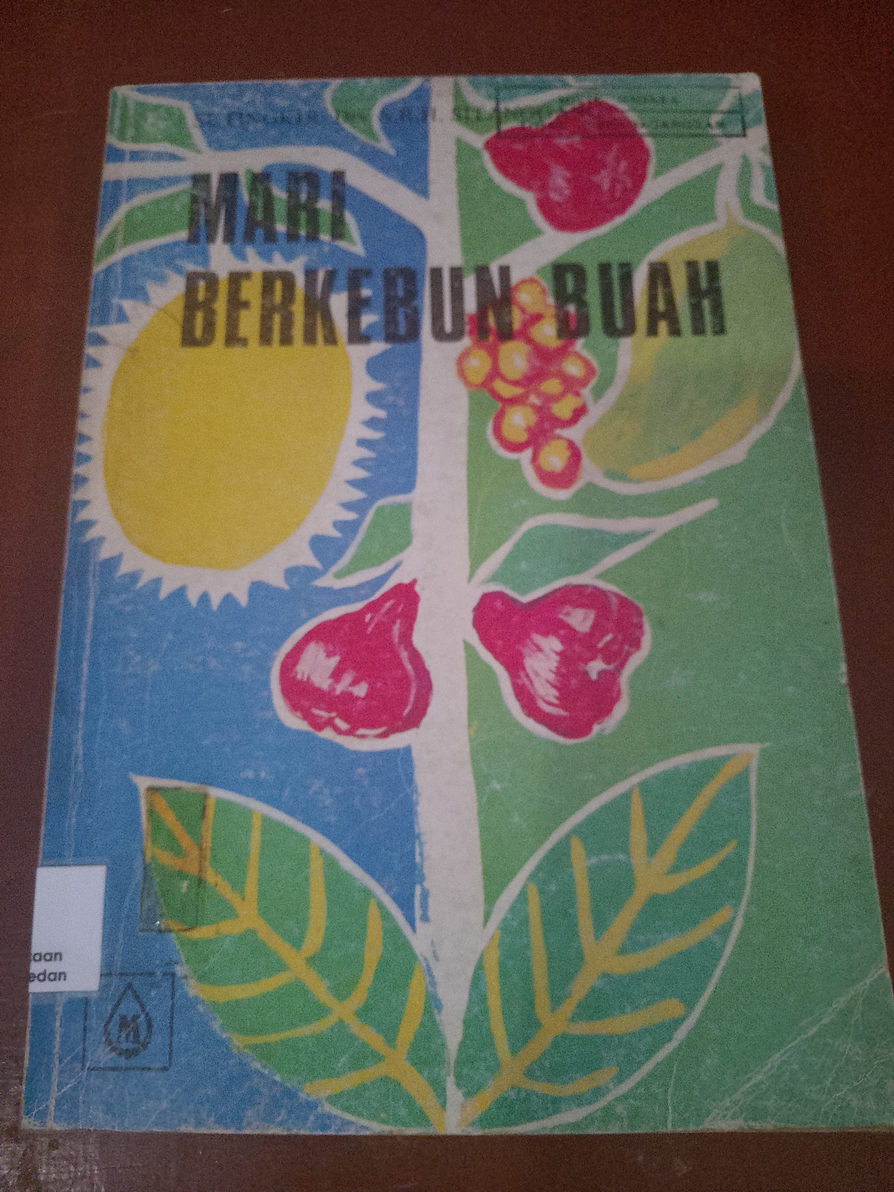 Mari berkebun buah