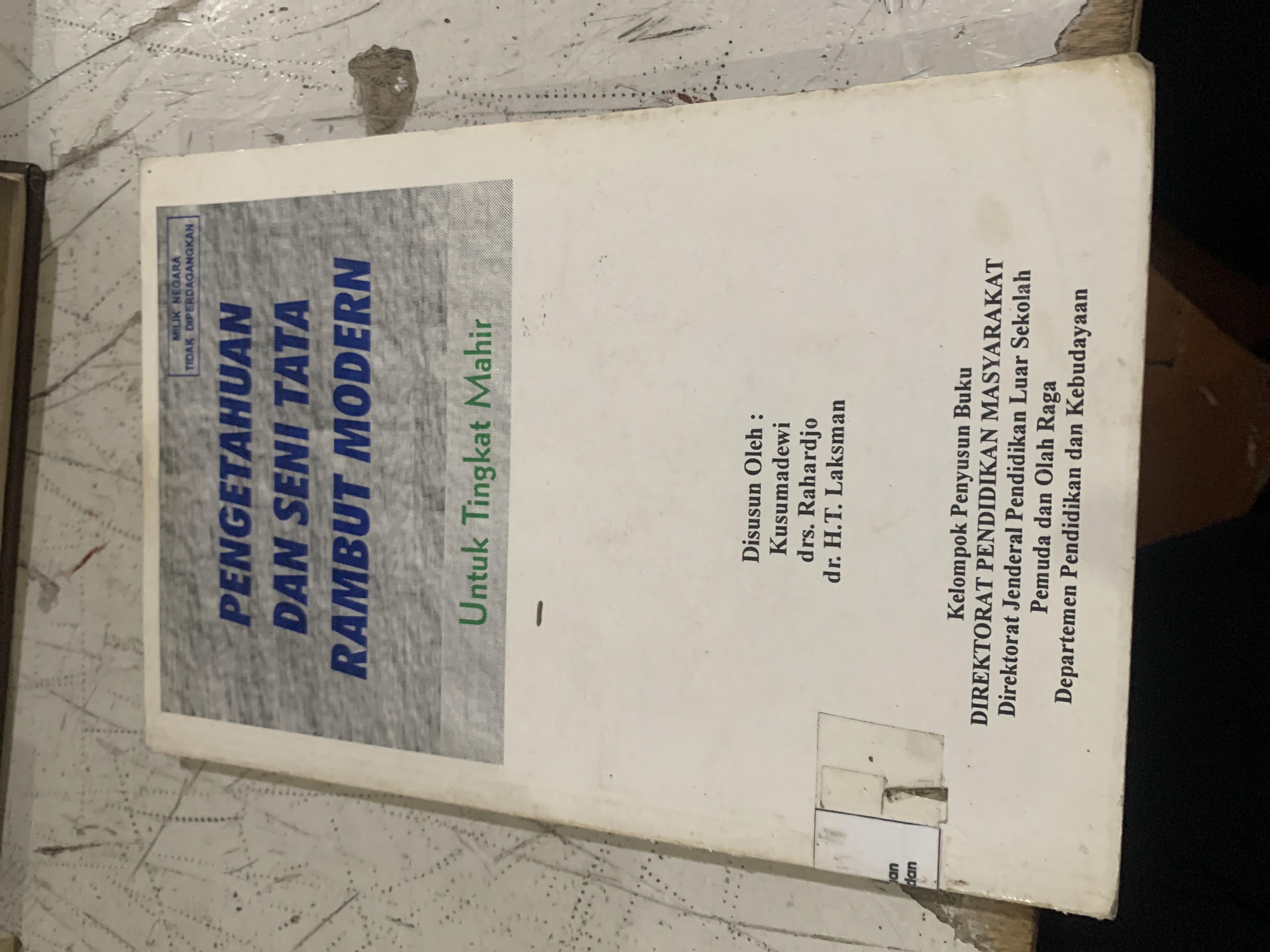 Pengetahuan dan Seni Tata Rambut Model