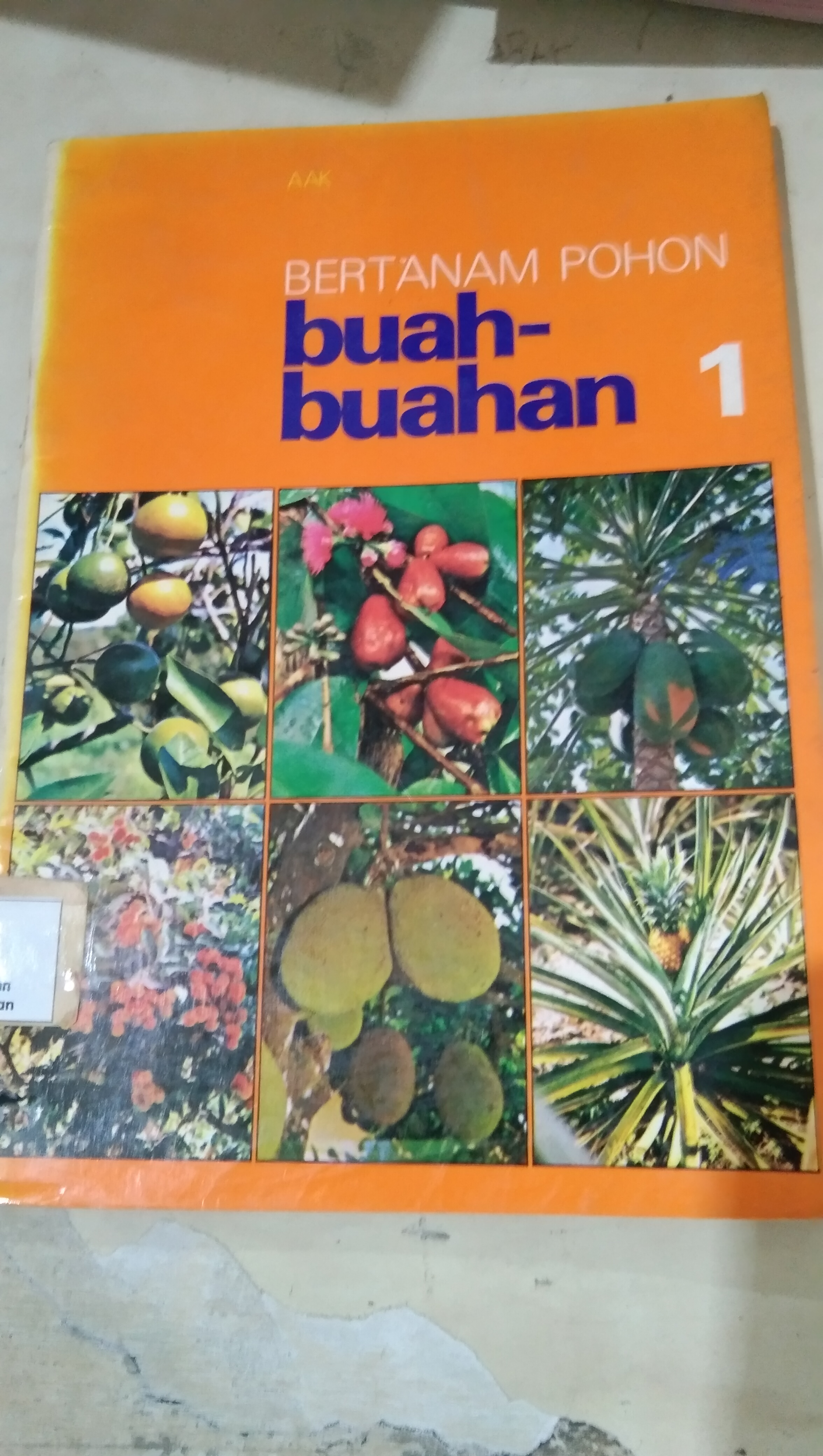 Bertanam pohon buah-buahan 1