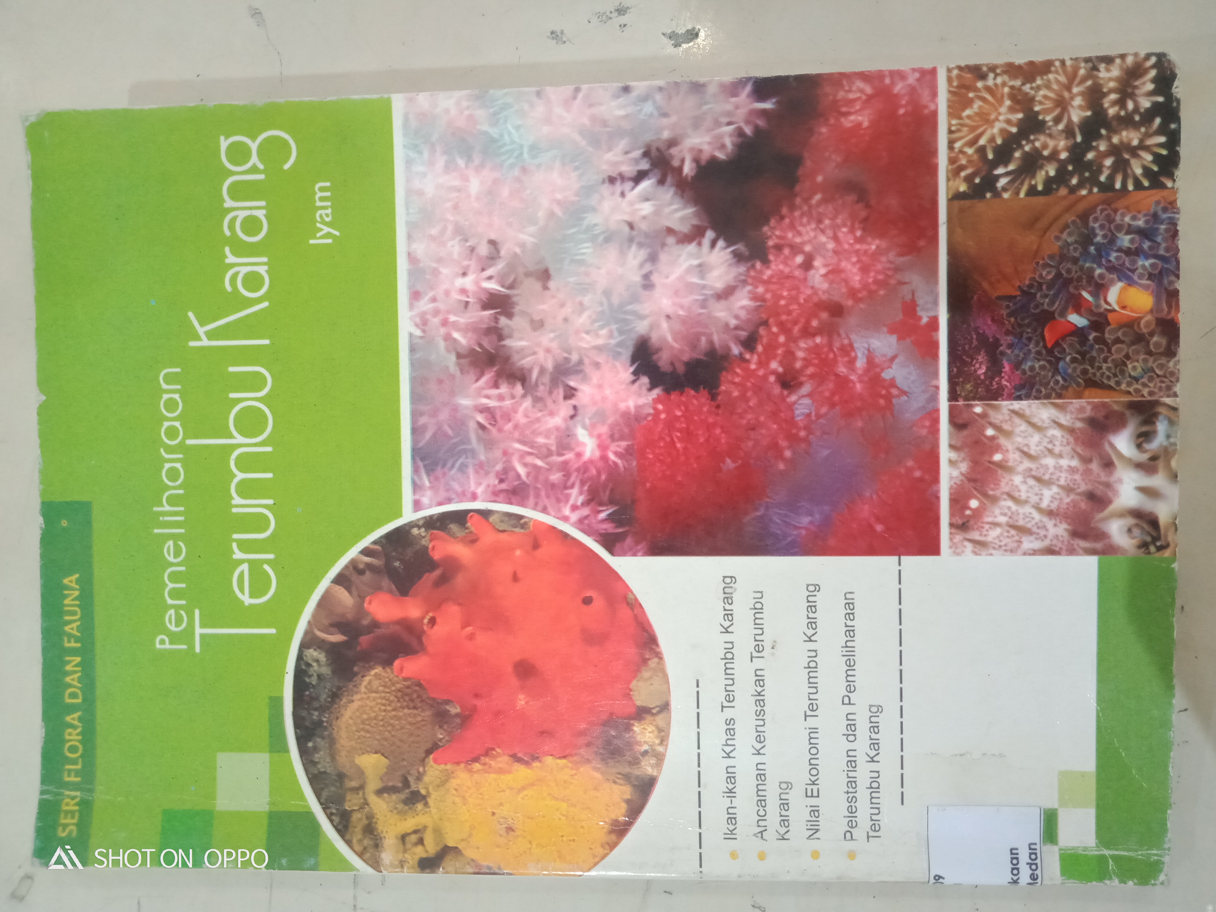 Pemeliharaan Terumbu Karang