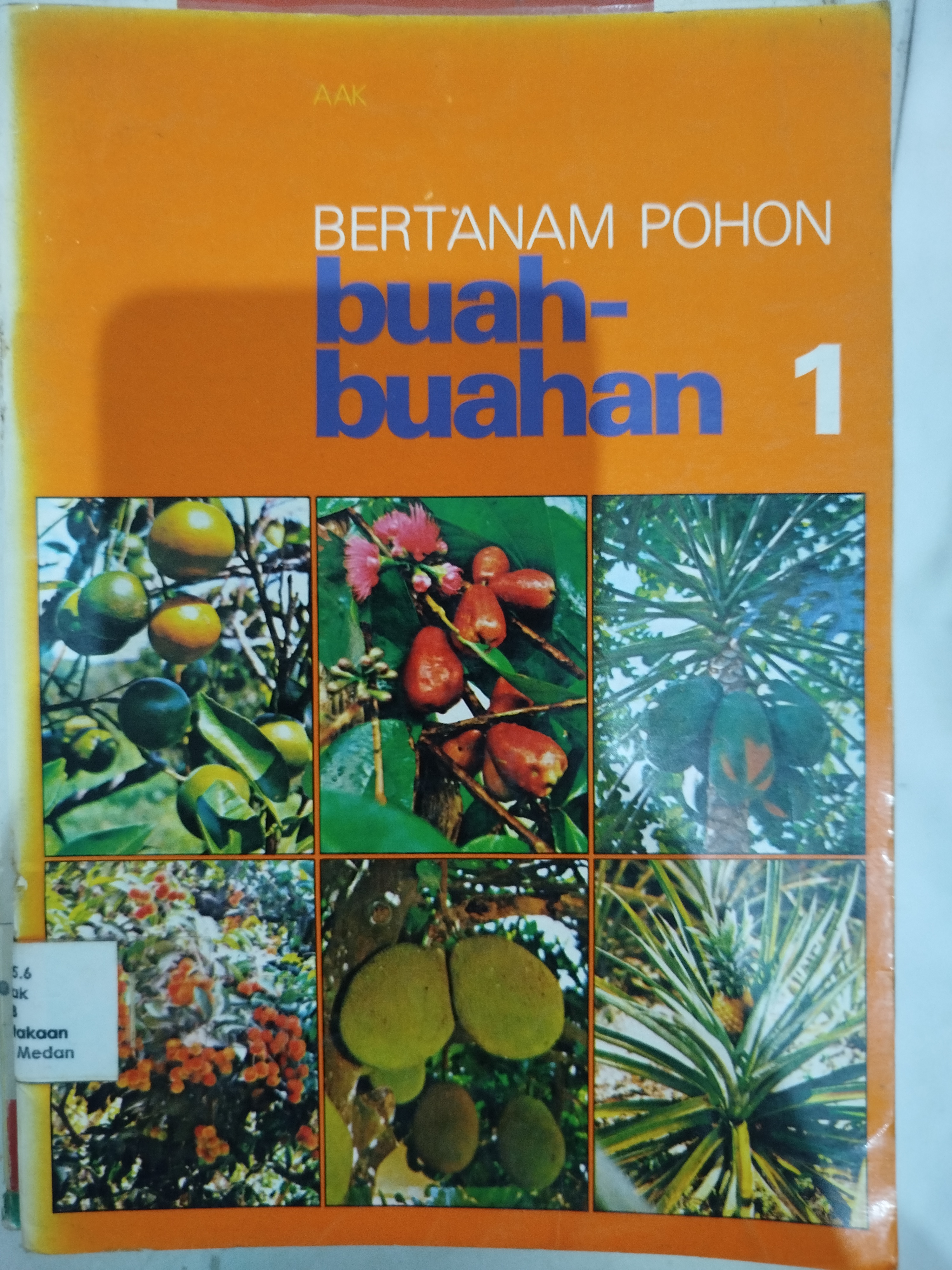 Bertanam pohon buah-buahan