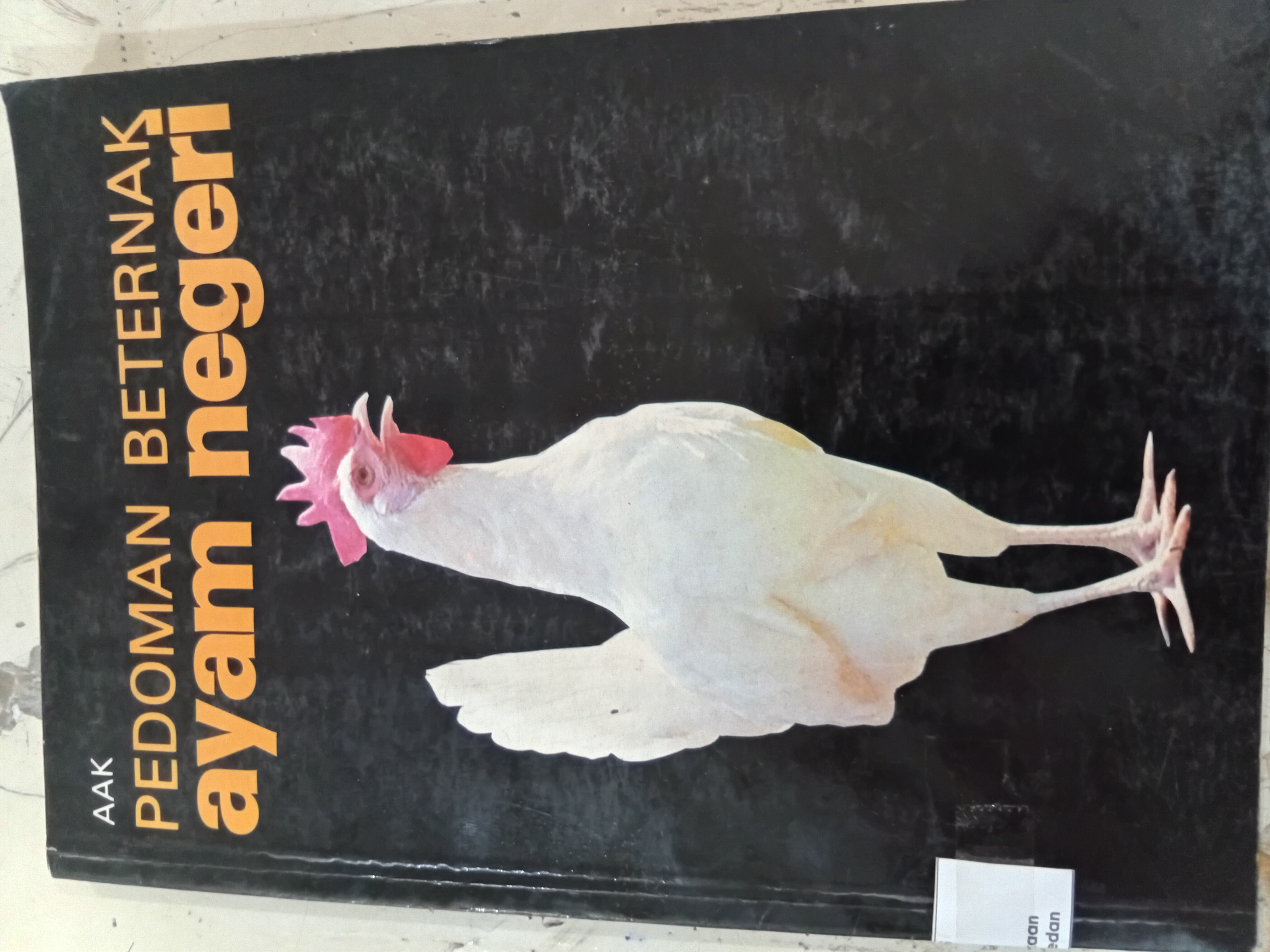 Pedoman beternak ayam negara