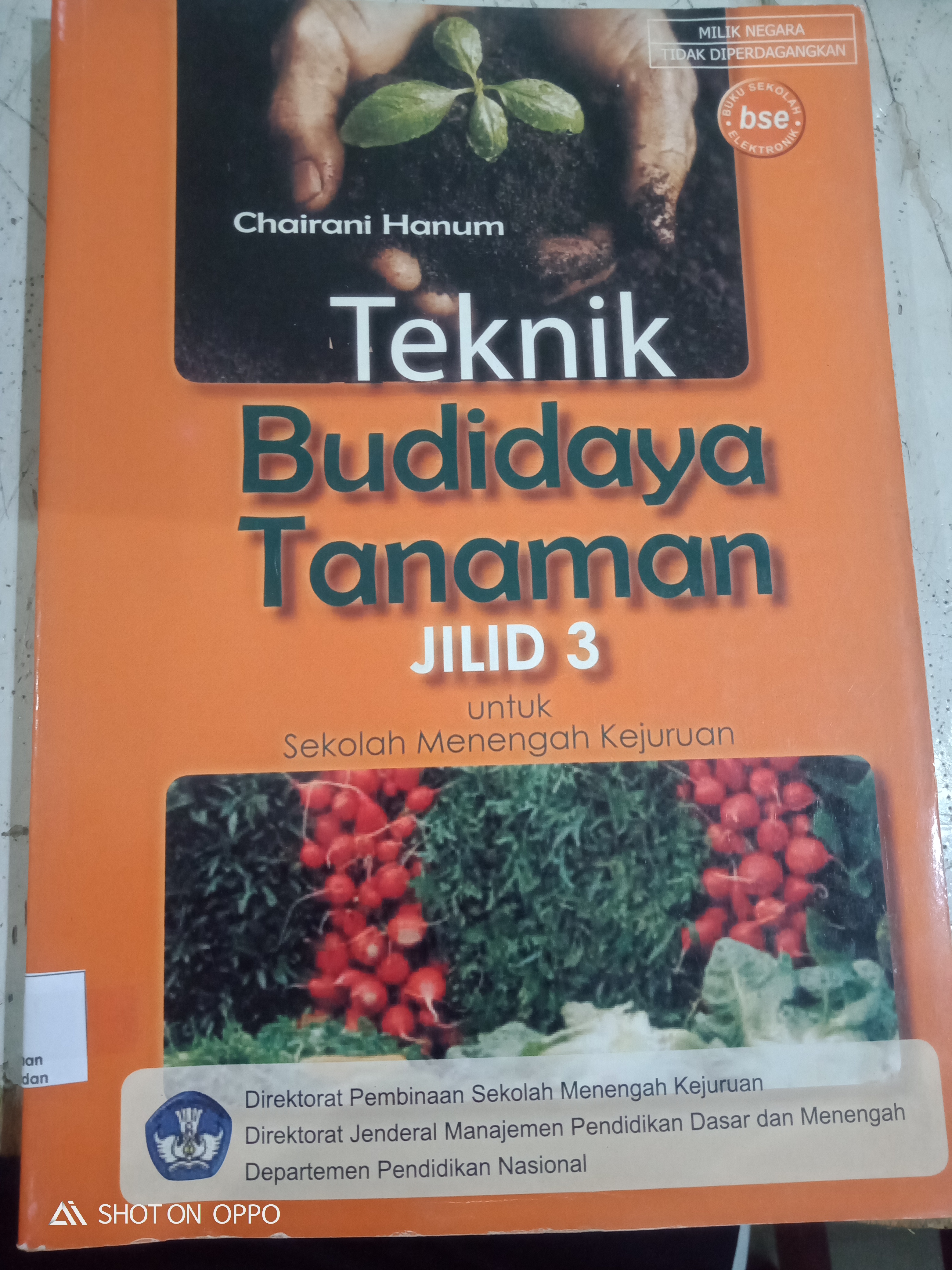 Teknik Budidaya Tanaman