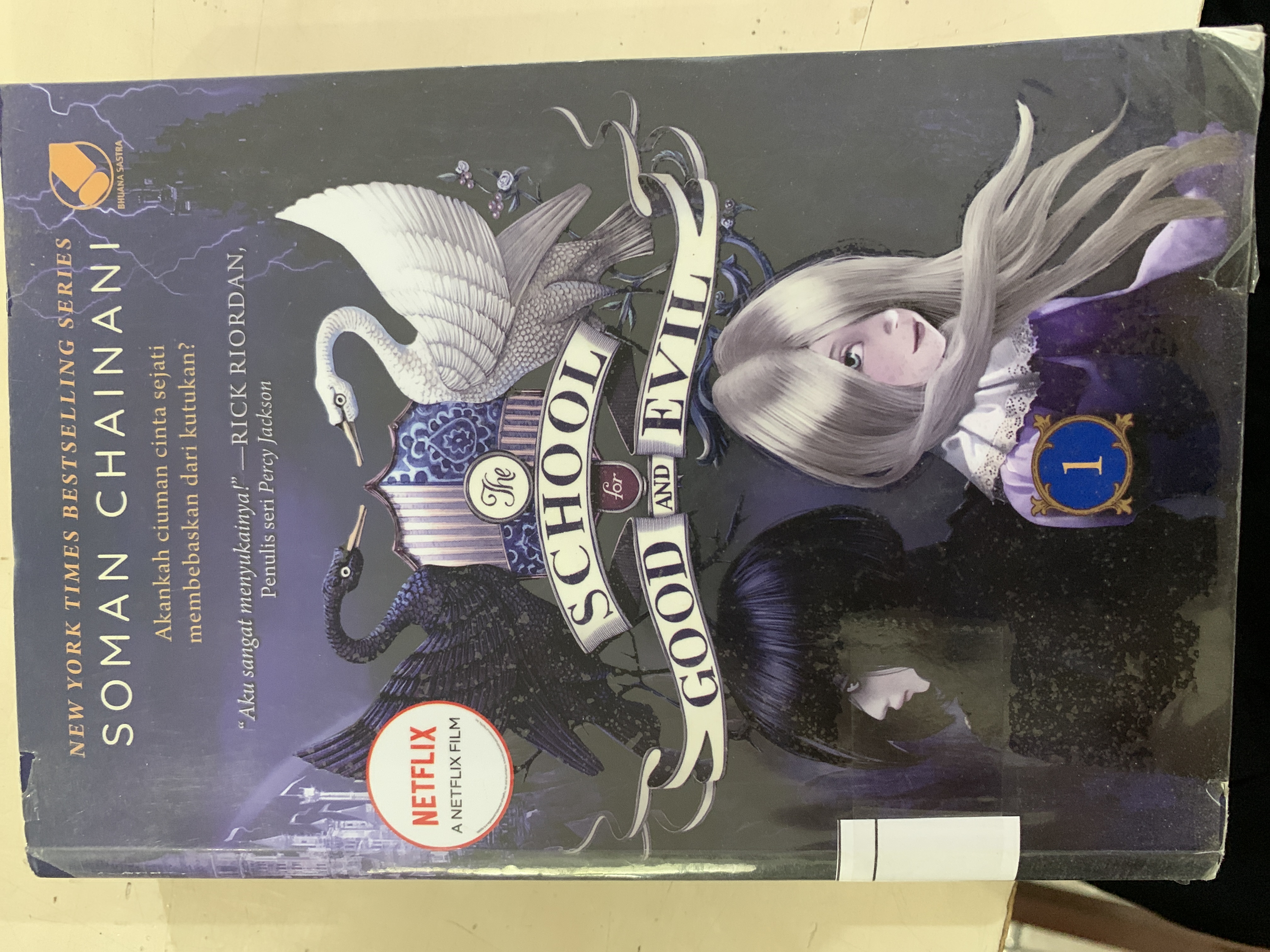 The School for Good and Evil