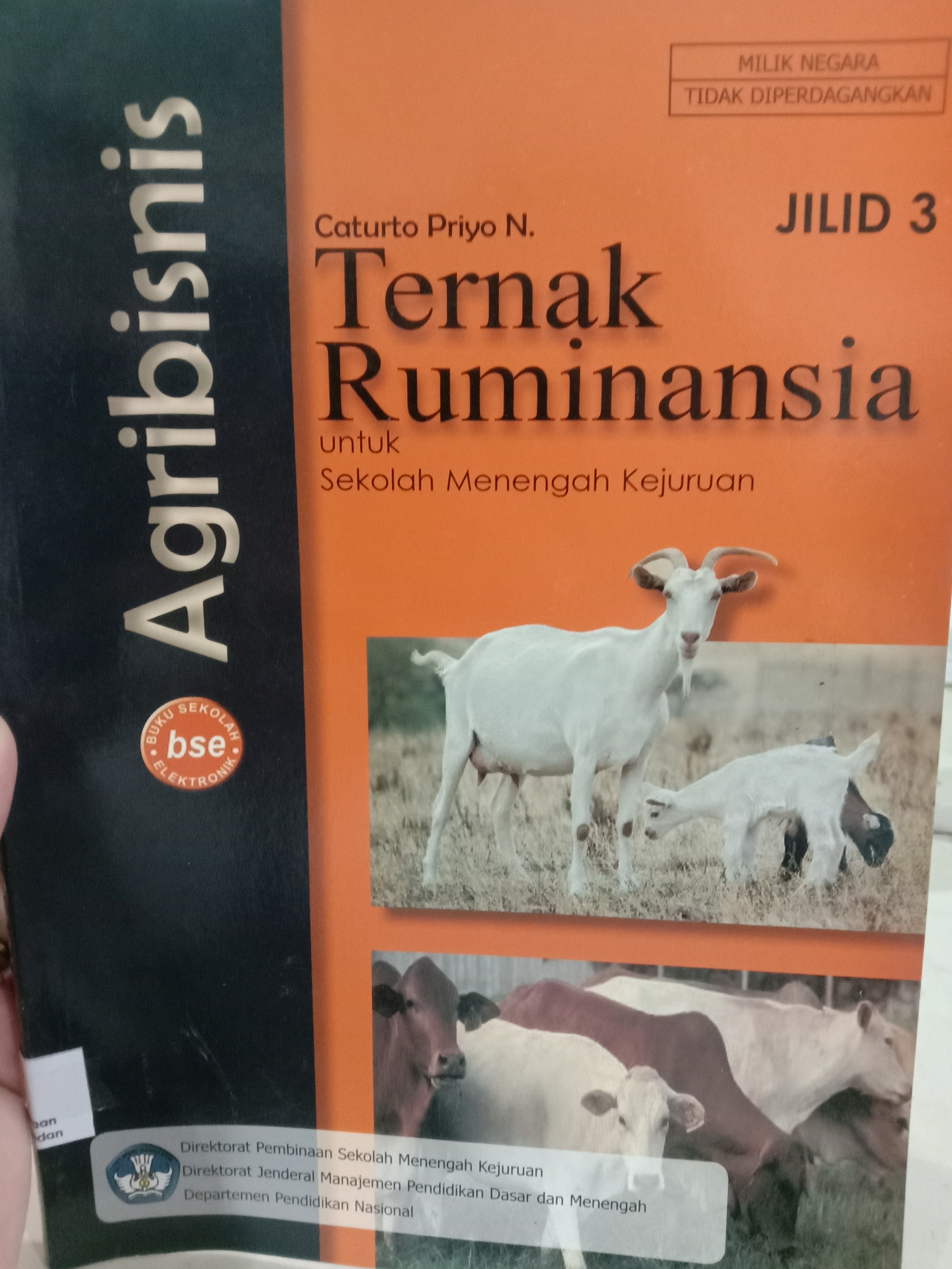 Agribisnis ternak ruminansia
