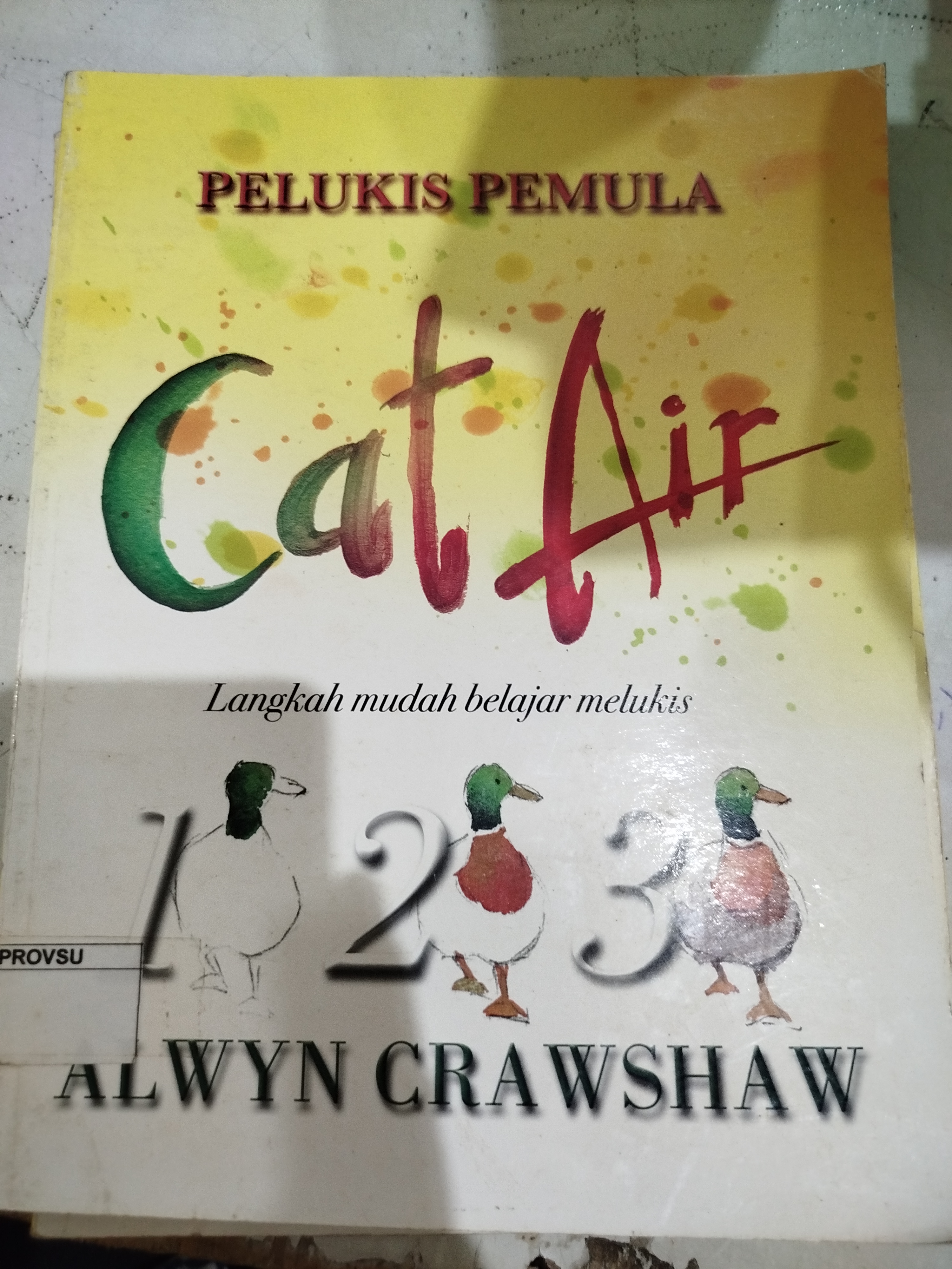 Pelukis Pemula Cat Air