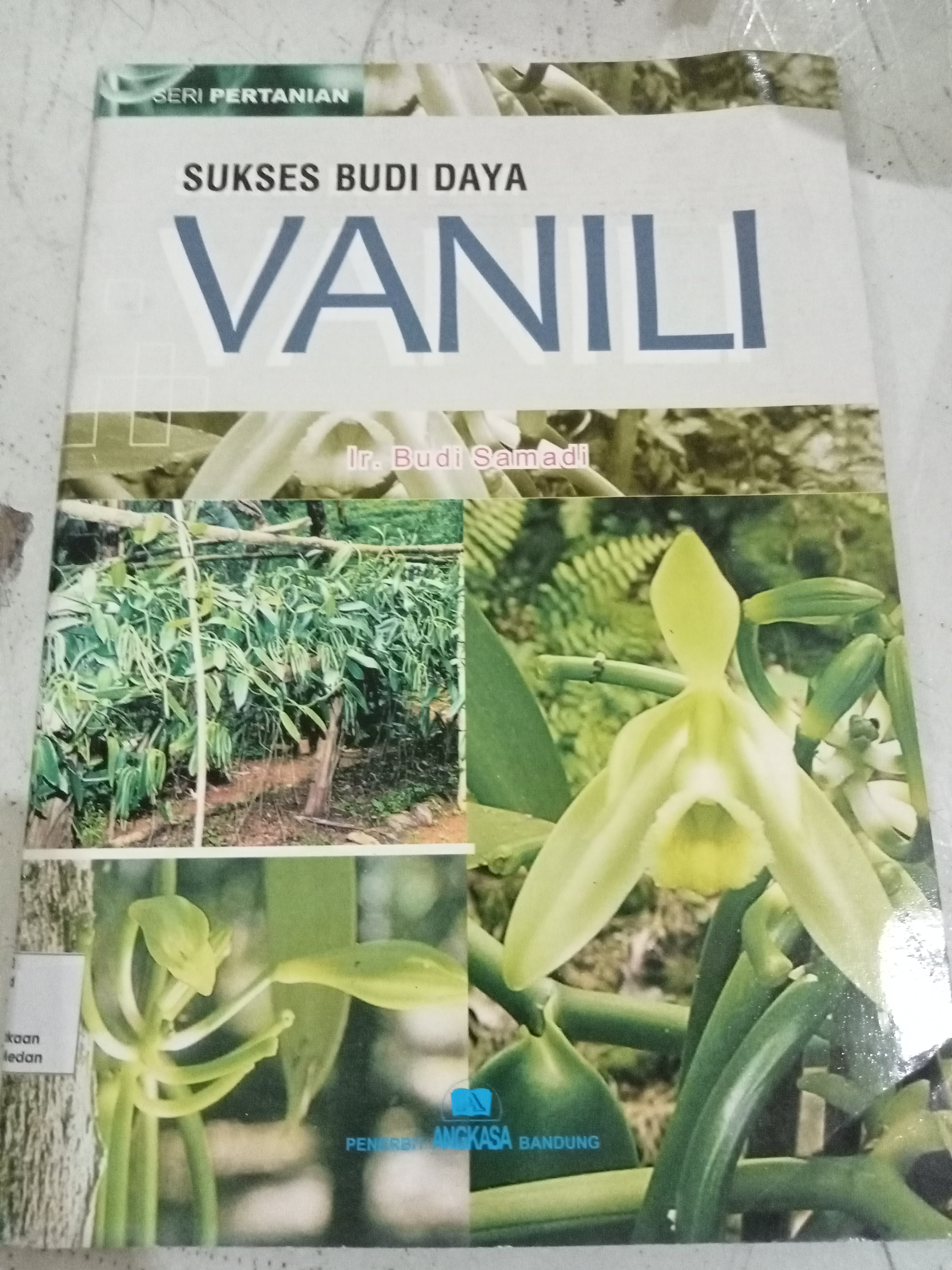 Sukses Budi daya Vanili