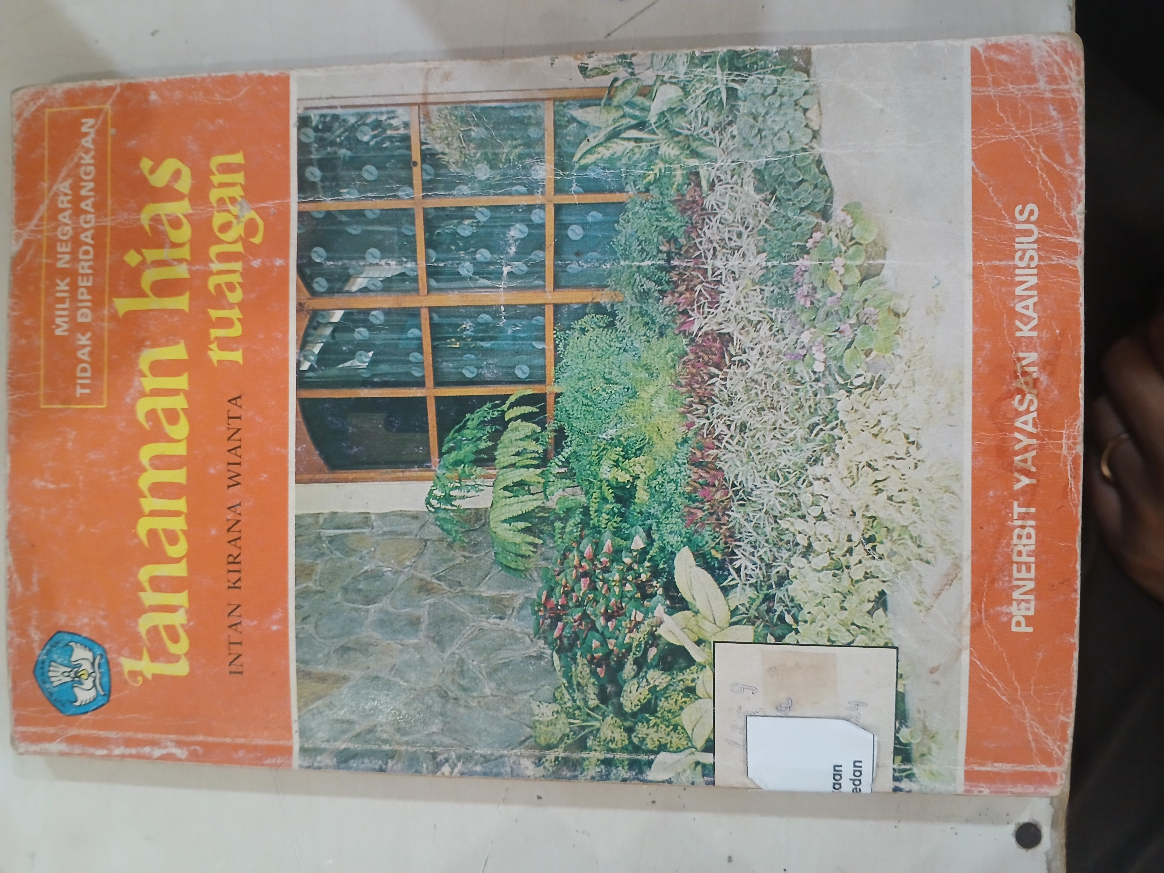 Tanaman Hias Ruangan