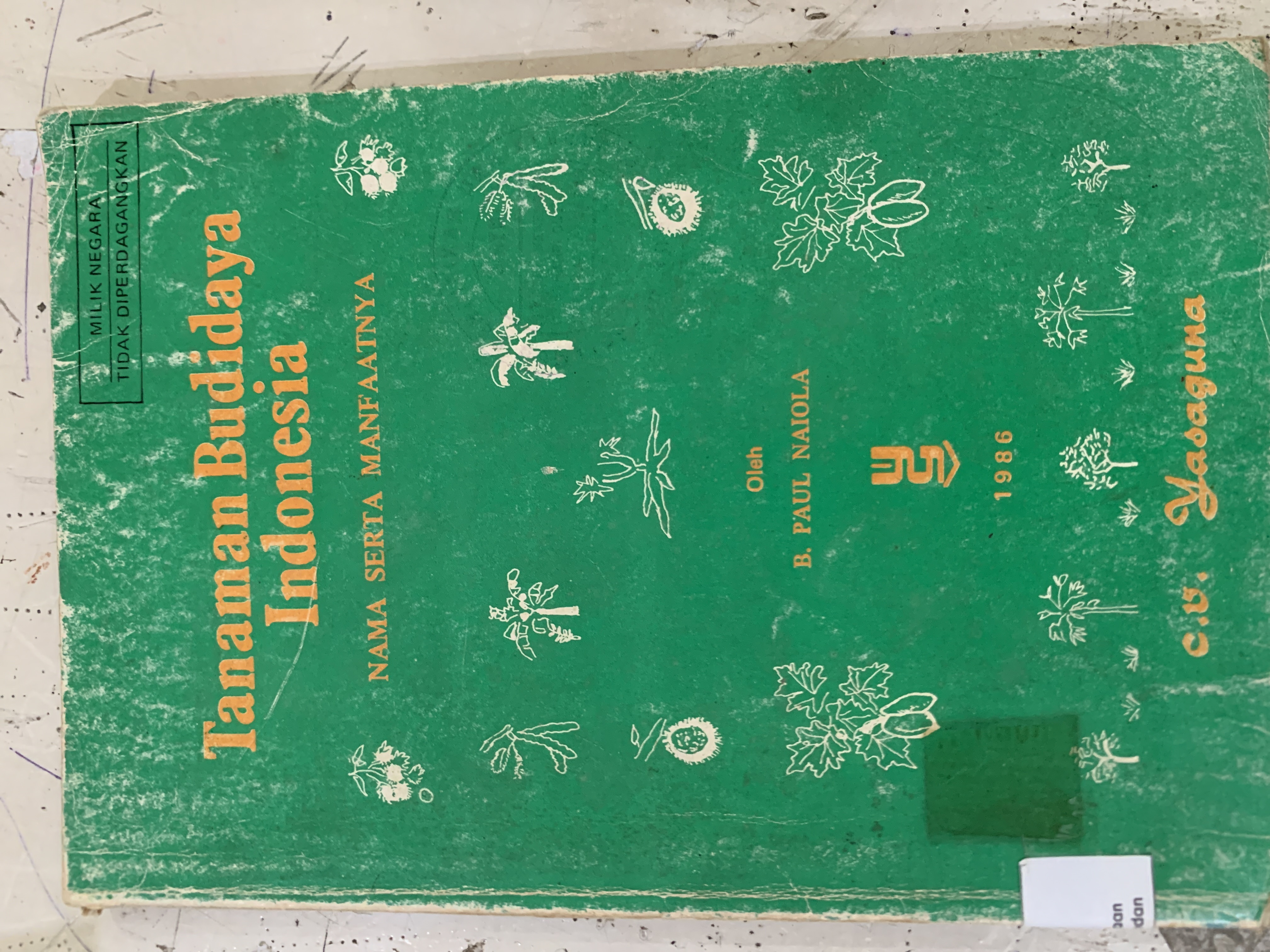 Tanaman Budidaya Indonesia