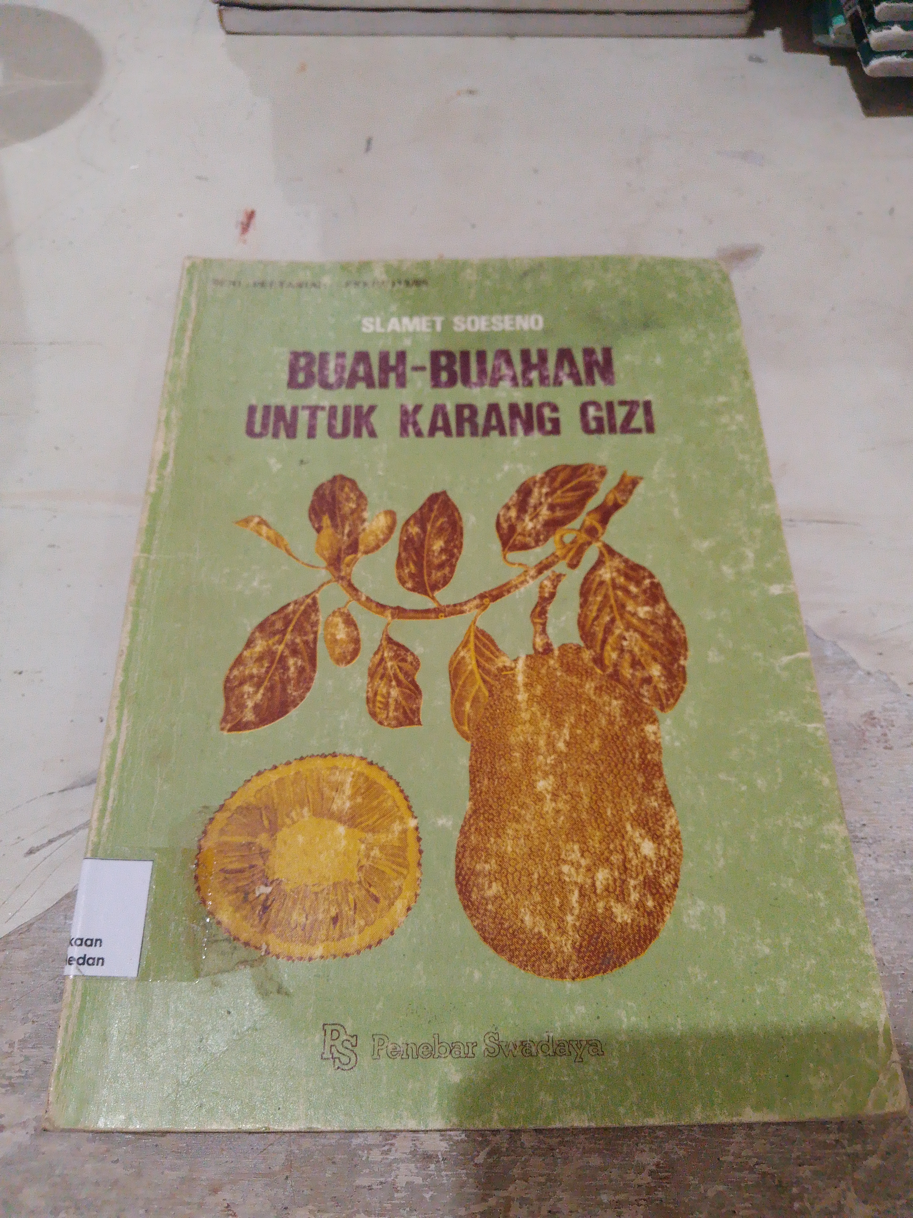 Buah-buahan untuk karang Gizi