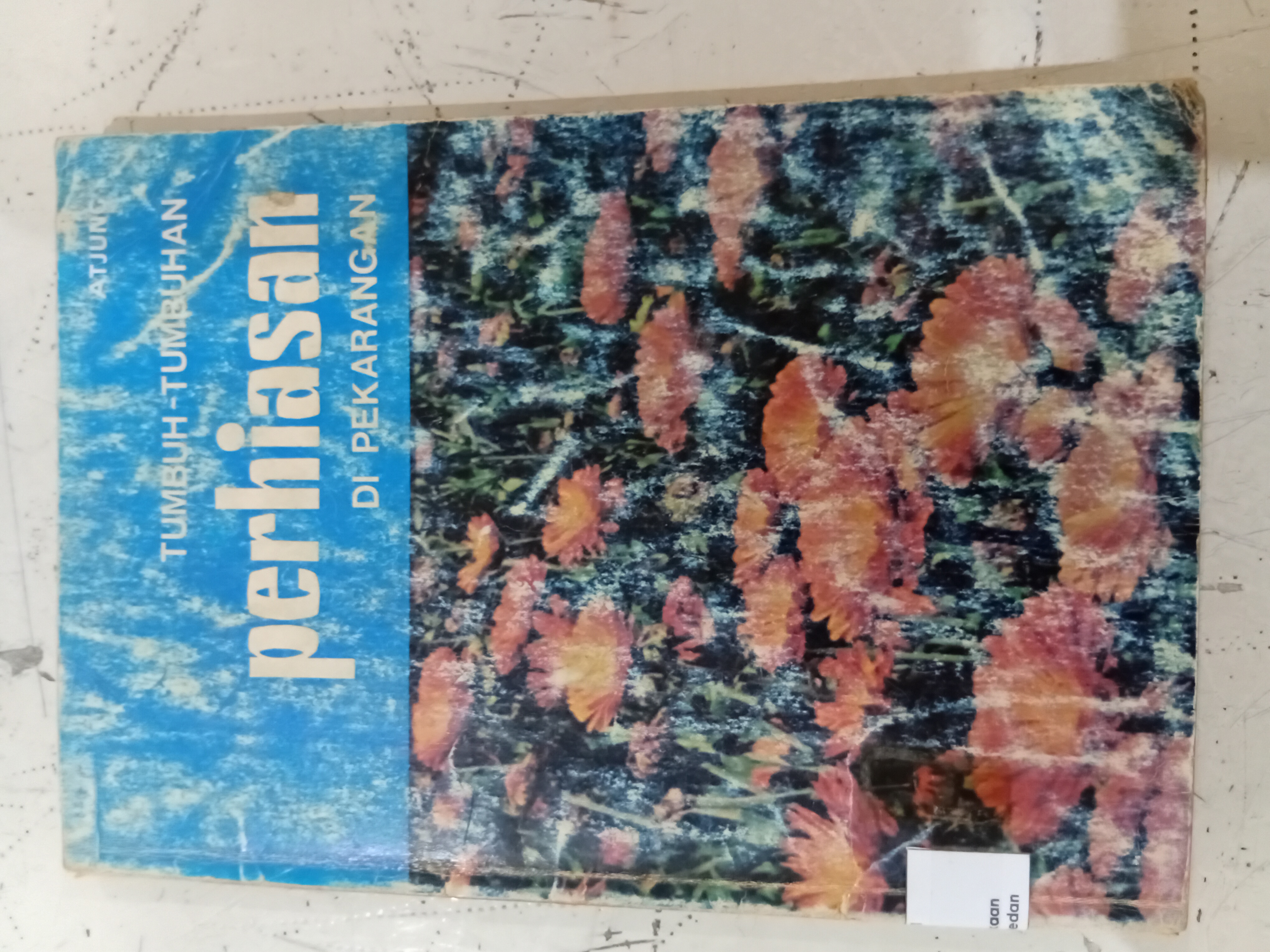 Tumbuh-tumbuhan perhiasan di pekarangan