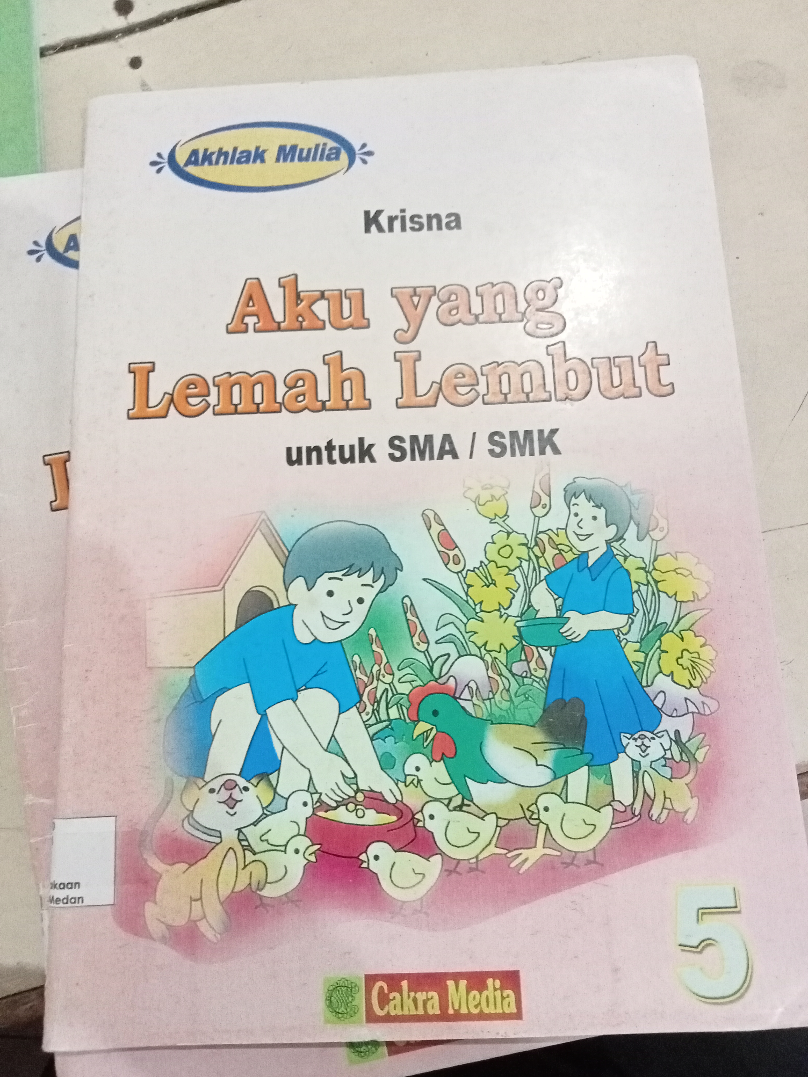 Aku yang lemah lembut 