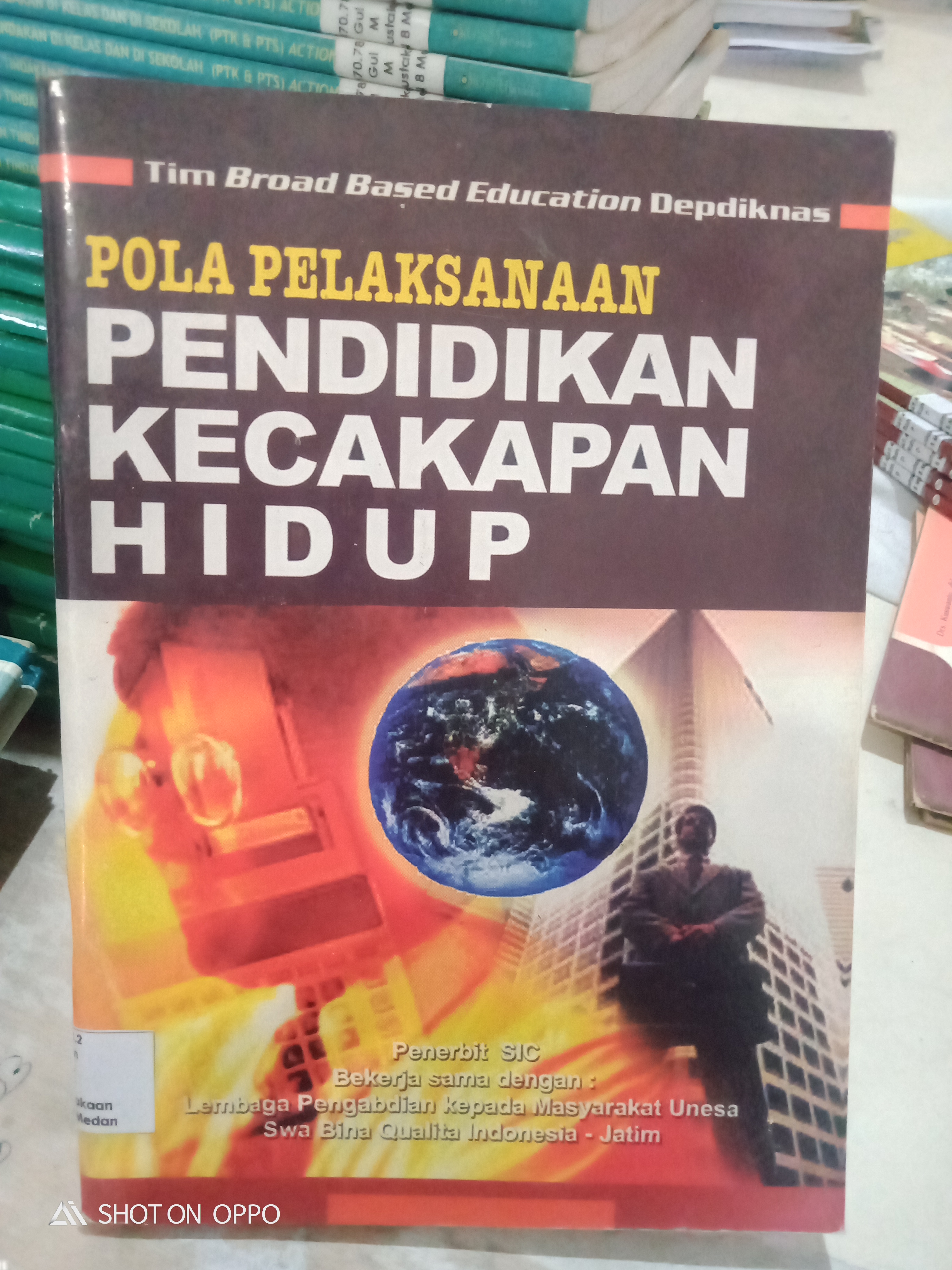 POLA PELAKSANAAN PENDIDIKAN KECAKAPAN HIDUP