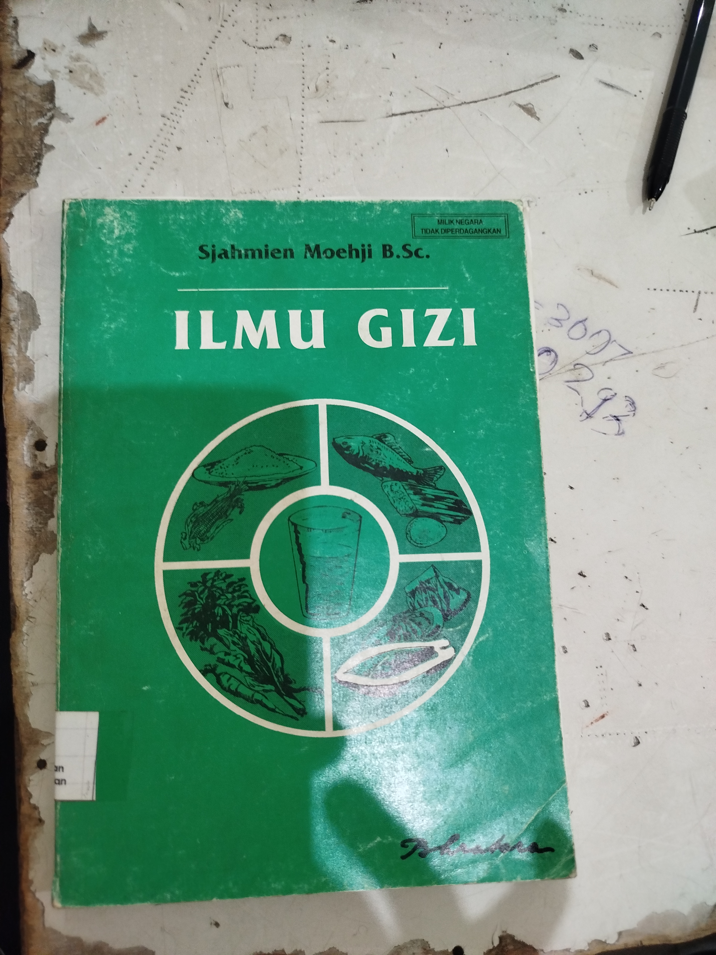 Ilmu Gizi