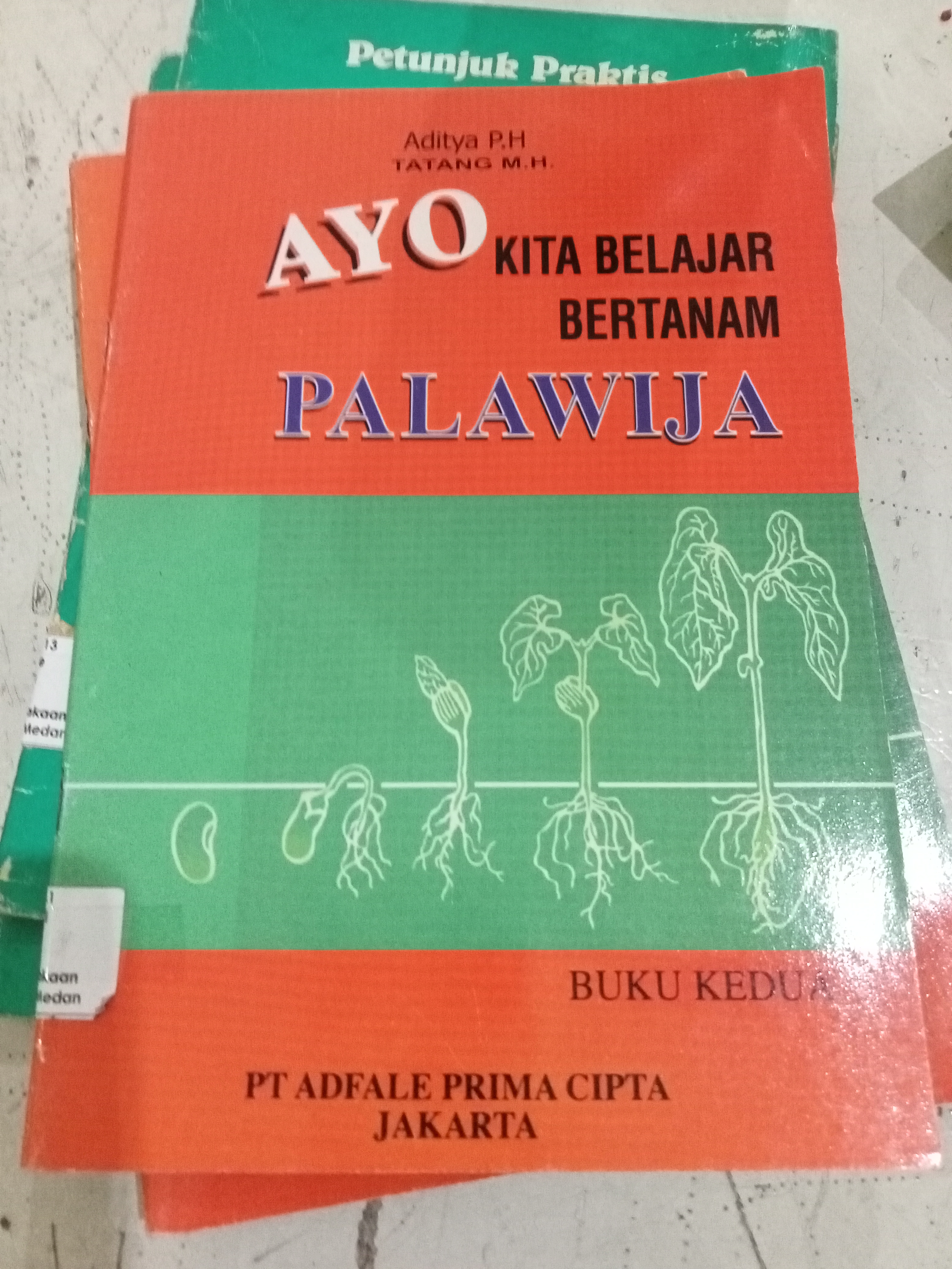 Ayo kita belajar bertanam Palawija