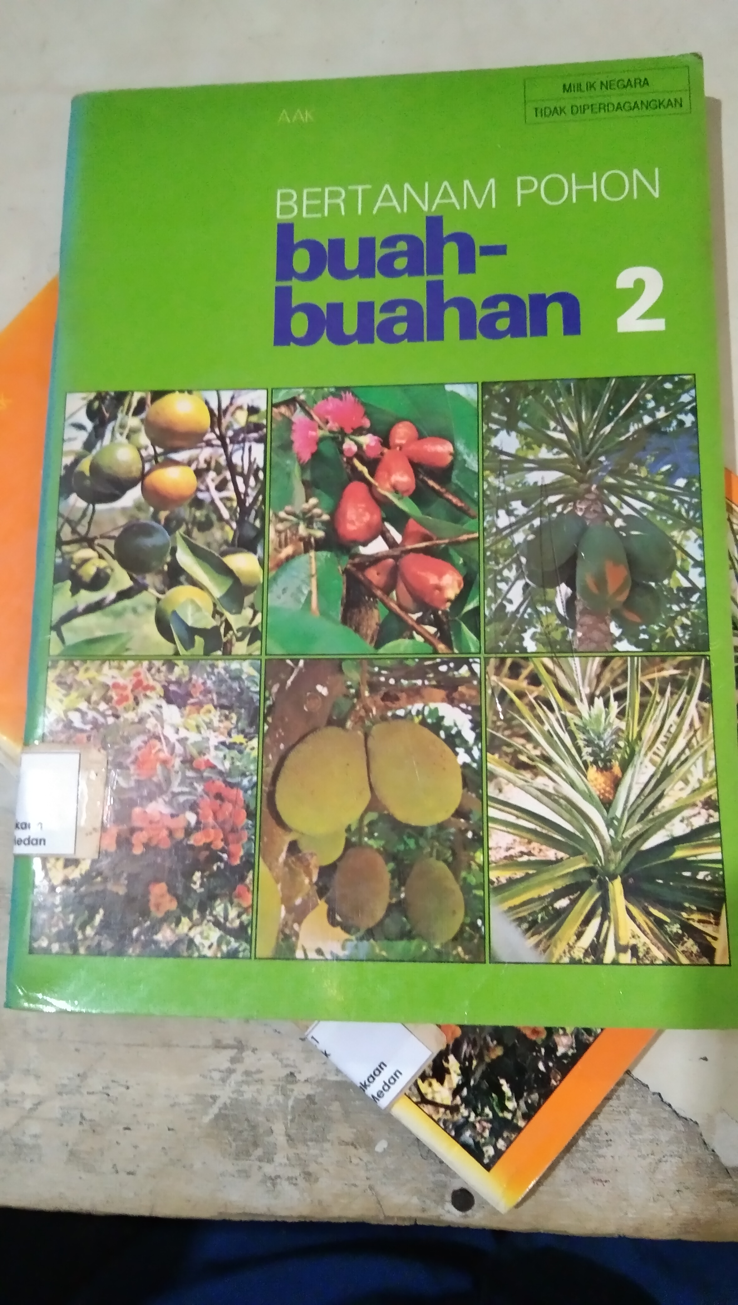 Bertanam pohon buah-buahan 2
