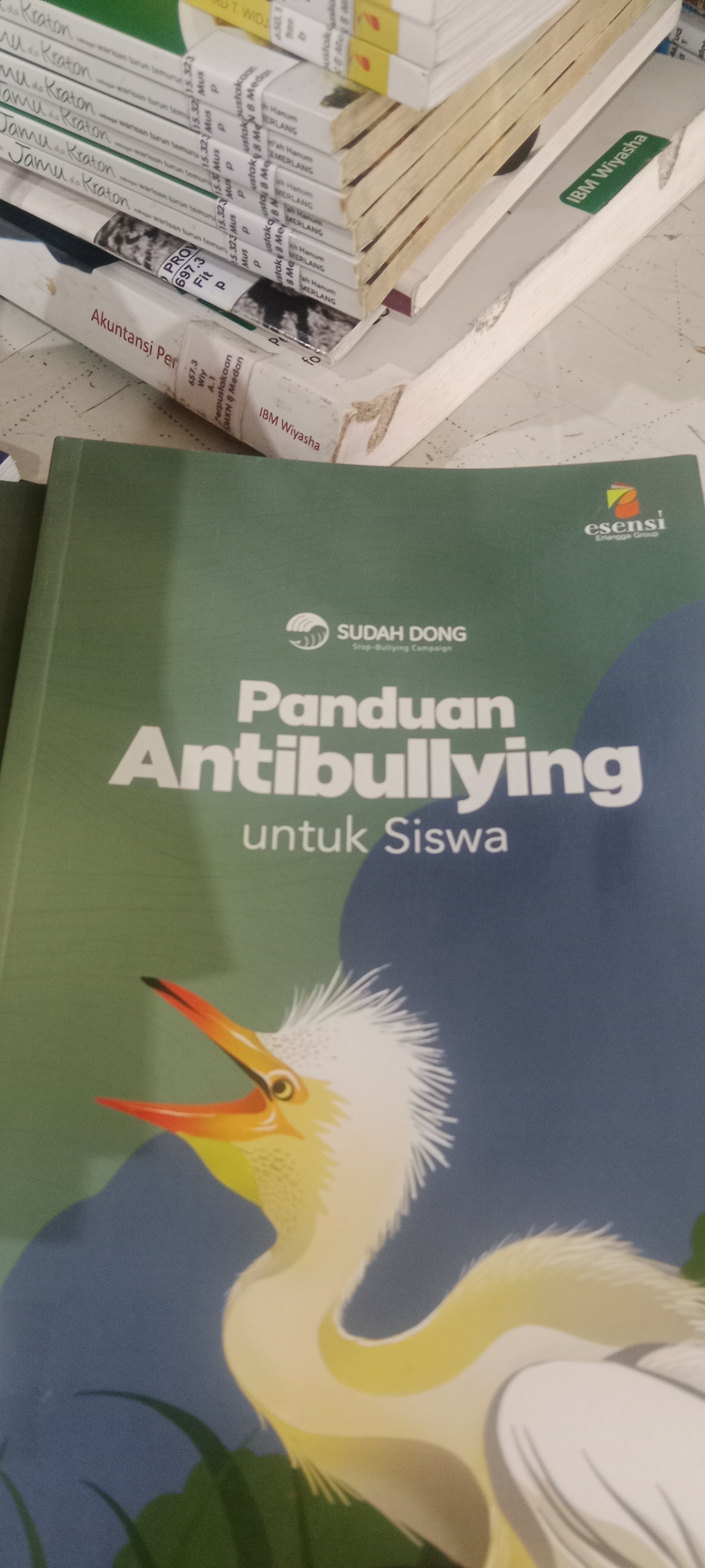 Panduan Antibullying untuk Siswa
