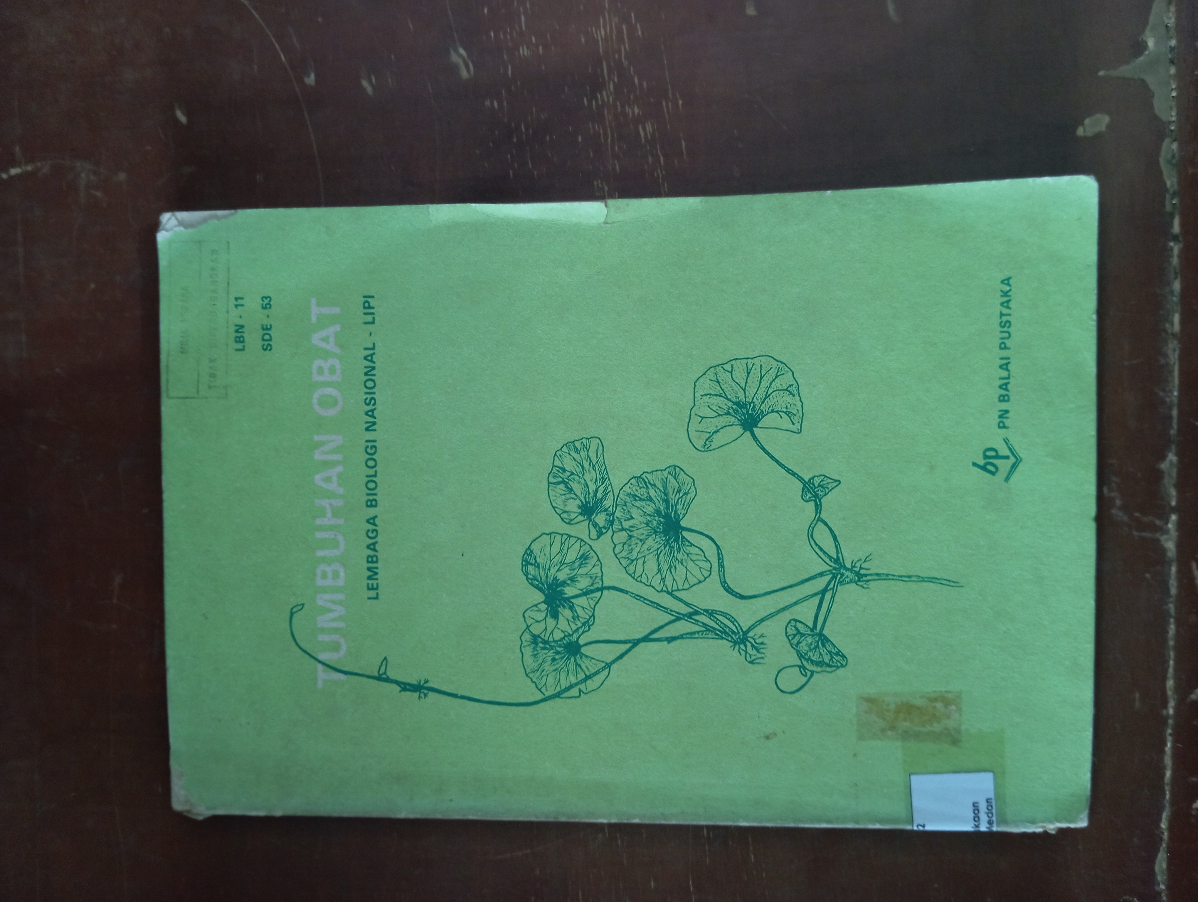 TUMBUHAN OBAT LEMBAGA BIOLOGI NASIONAL-LIPI