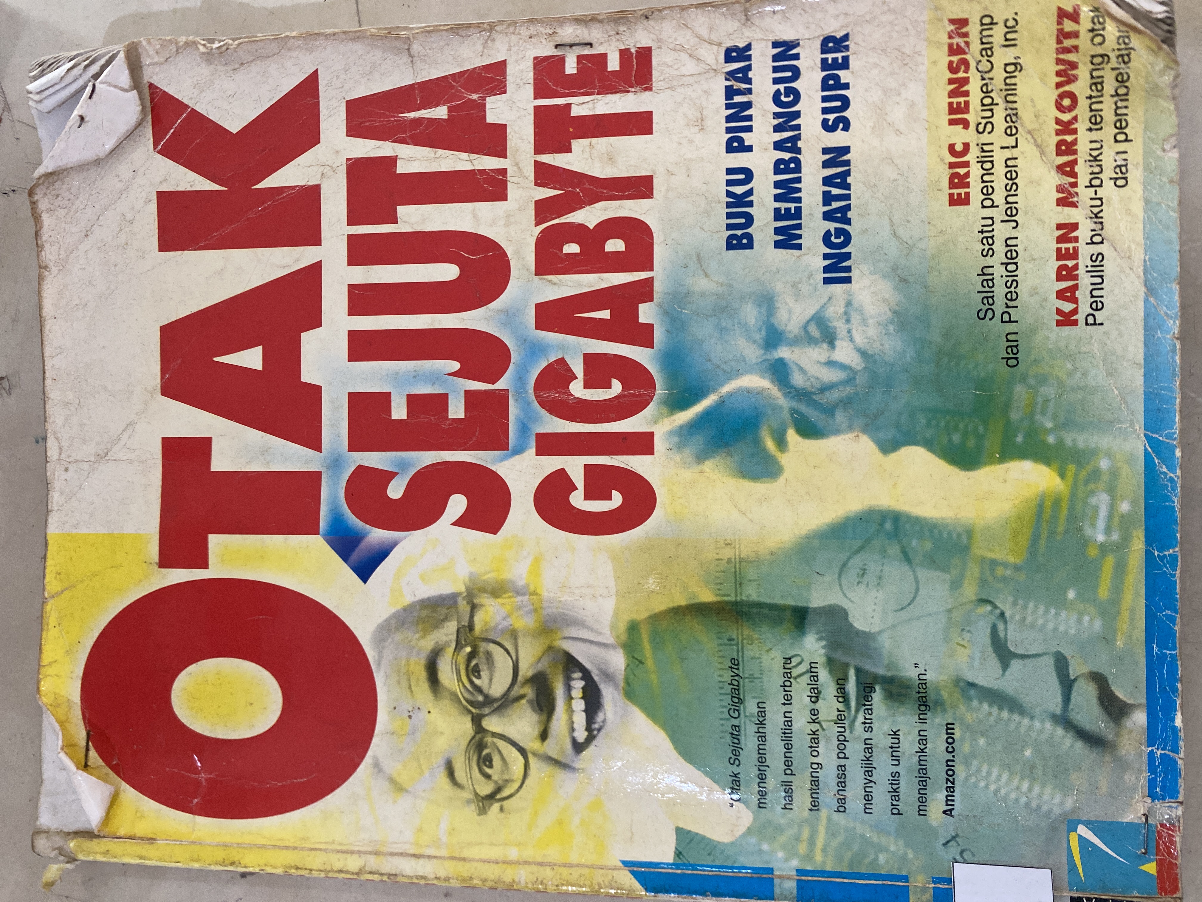 Otak sejuta Gigabyte: buku pintar membangun ingatan super