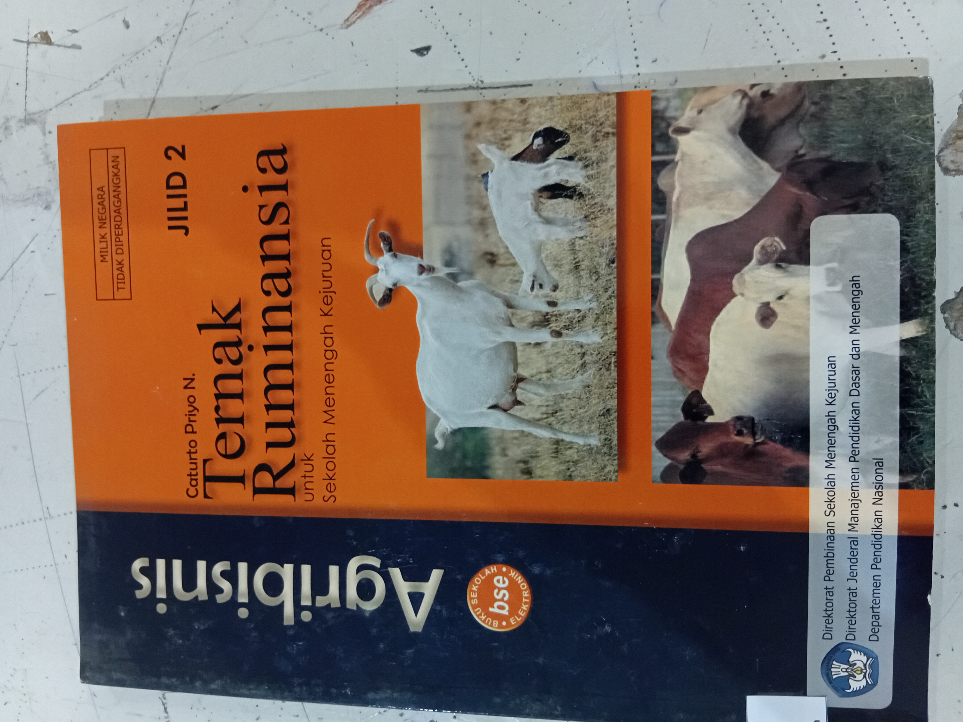 Ternak ruminansia jilid 2