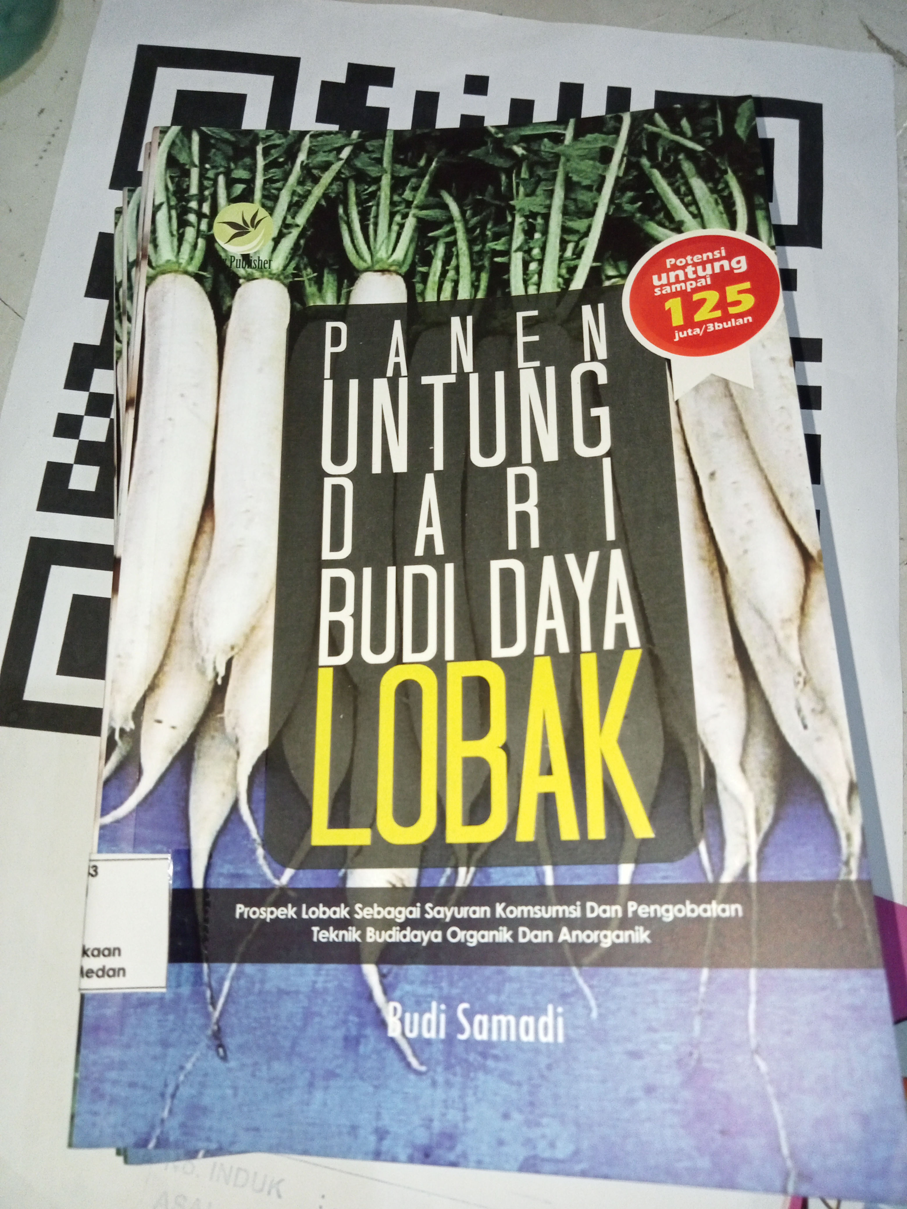 Panen untung dari Budi Daya Lobak