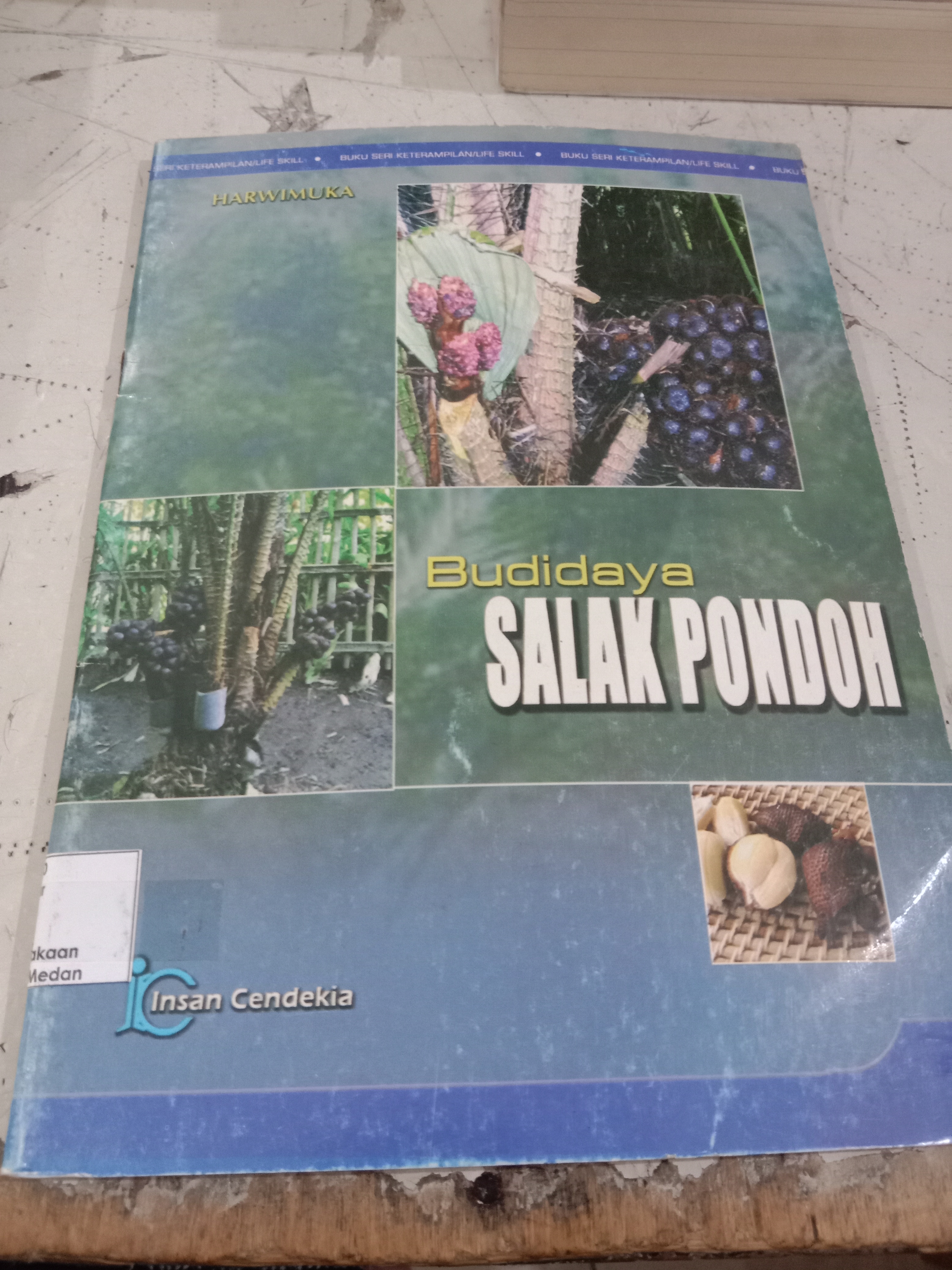 Budidaya salak pondoh