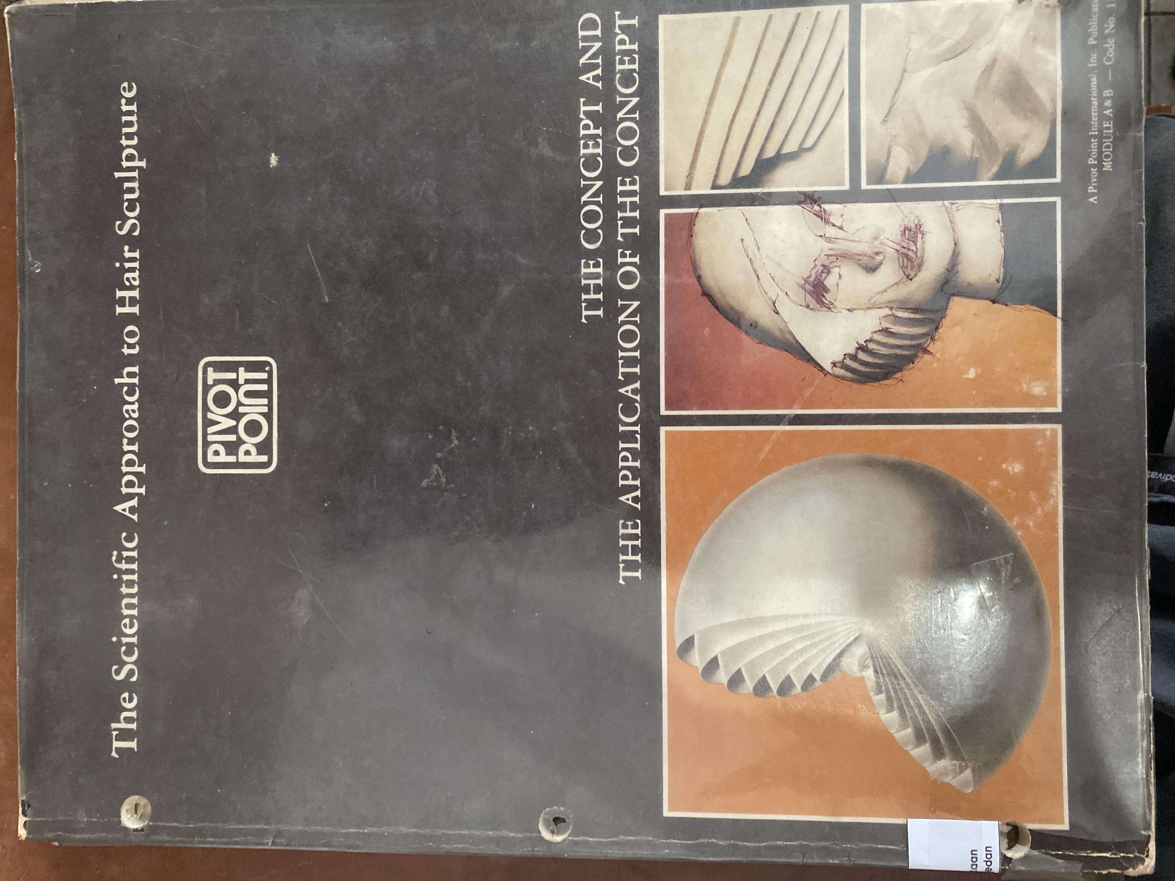 Scientific Approach to Hair Sculpture